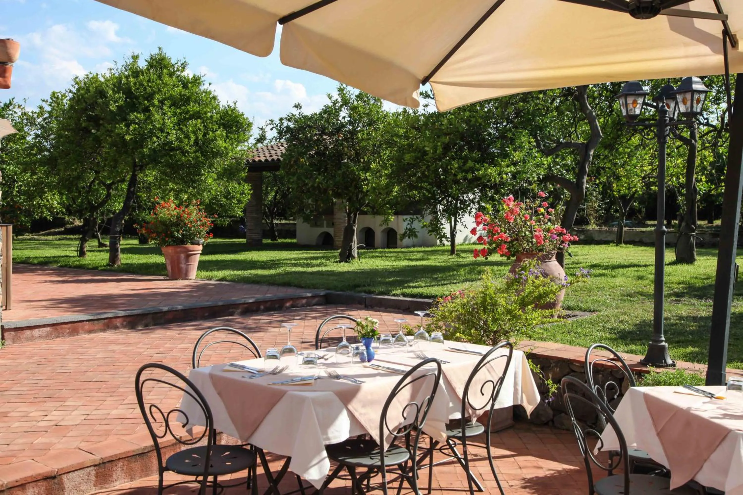 Restaurant/places to eat in Agriturismo Galea
