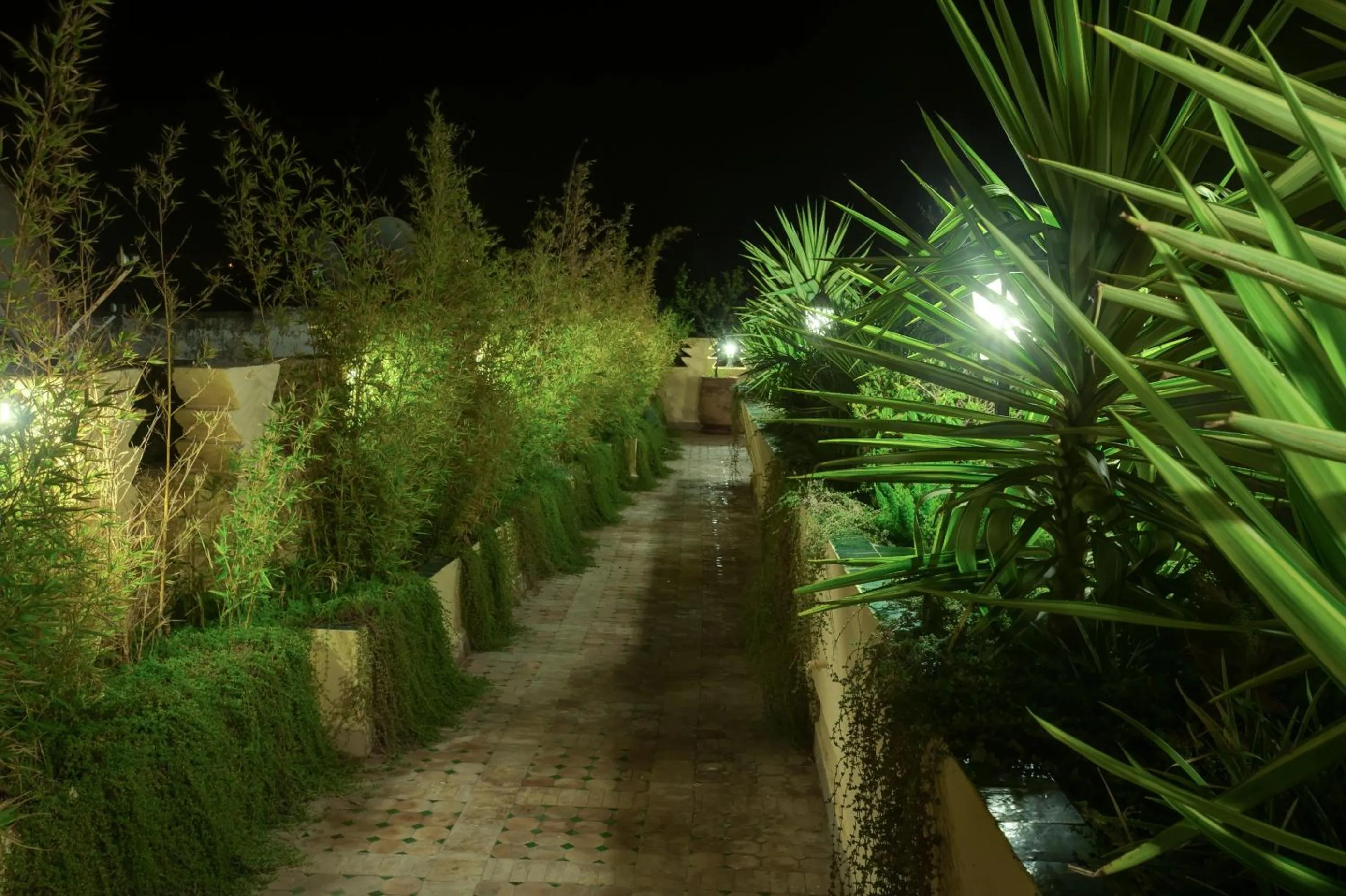 Garden view in Riad Salam Fes & Spa
