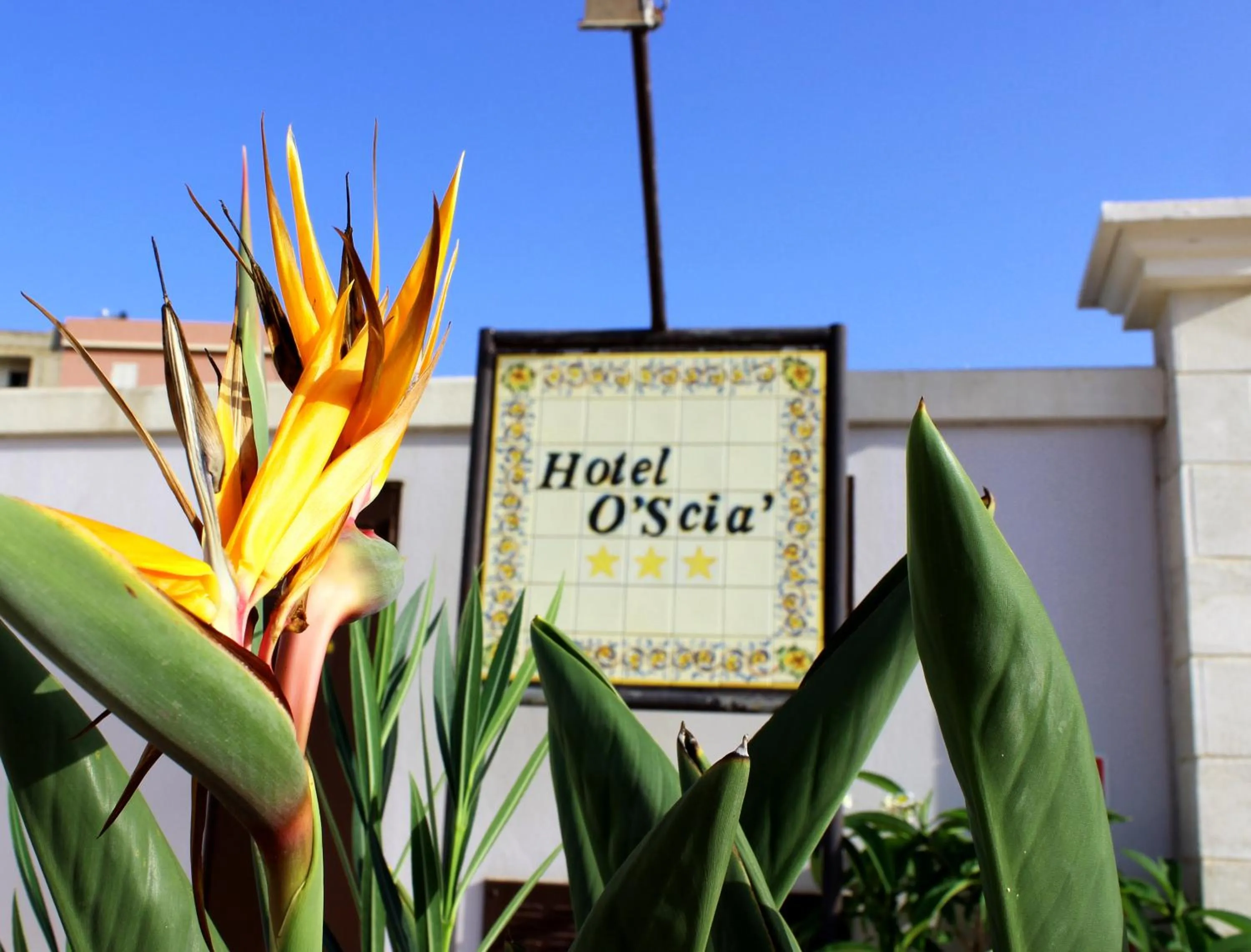 Decorative detail in Hotel O'scià