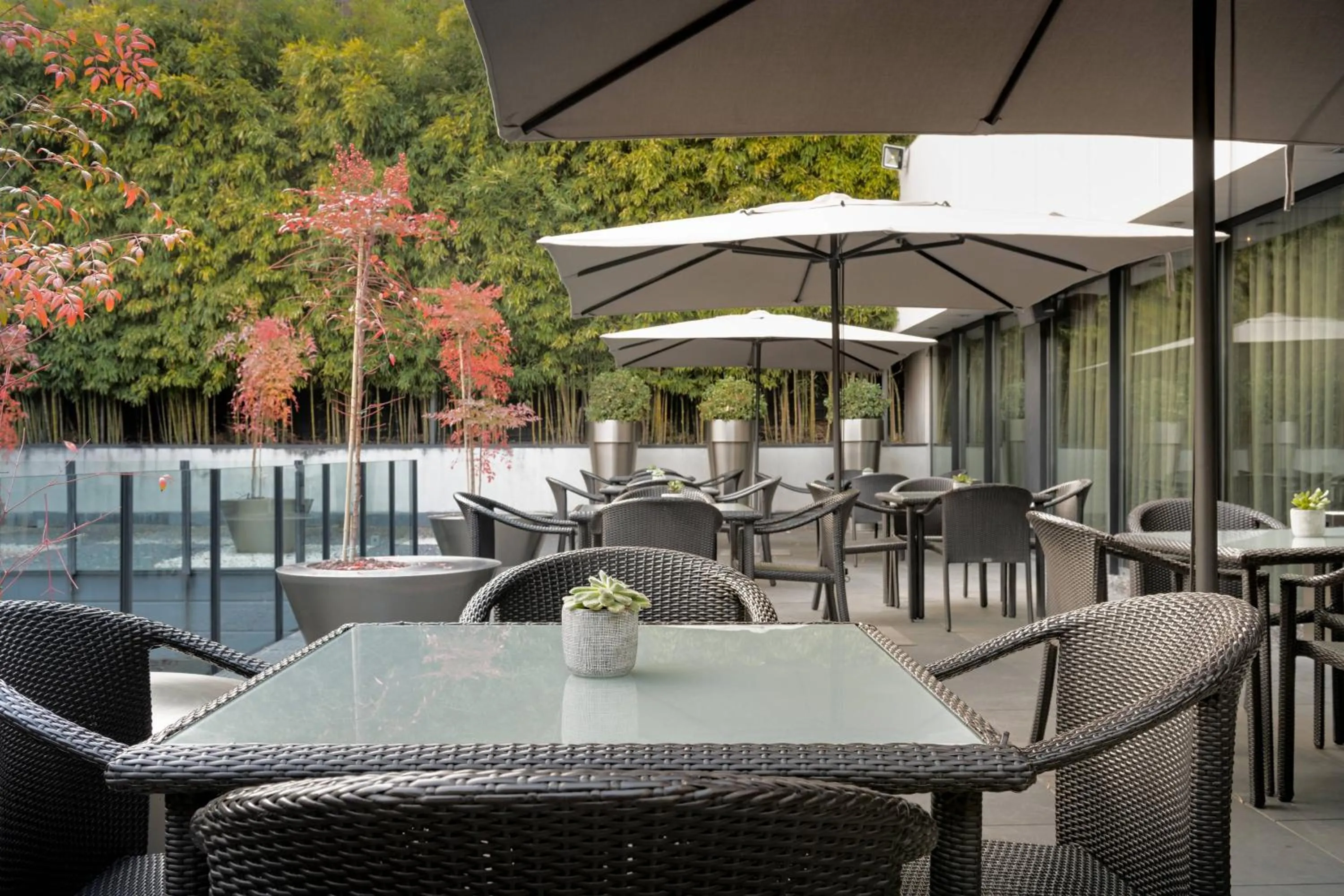 Restaurant/places to eat in AC Hotel Atocha by Marriott