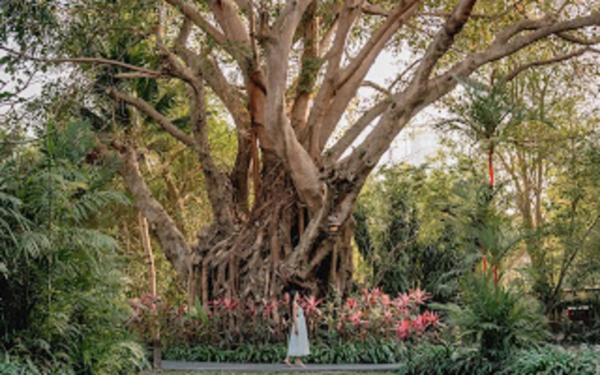 Garden in Sea Sand Sun Resort and Villas - SHA Plus