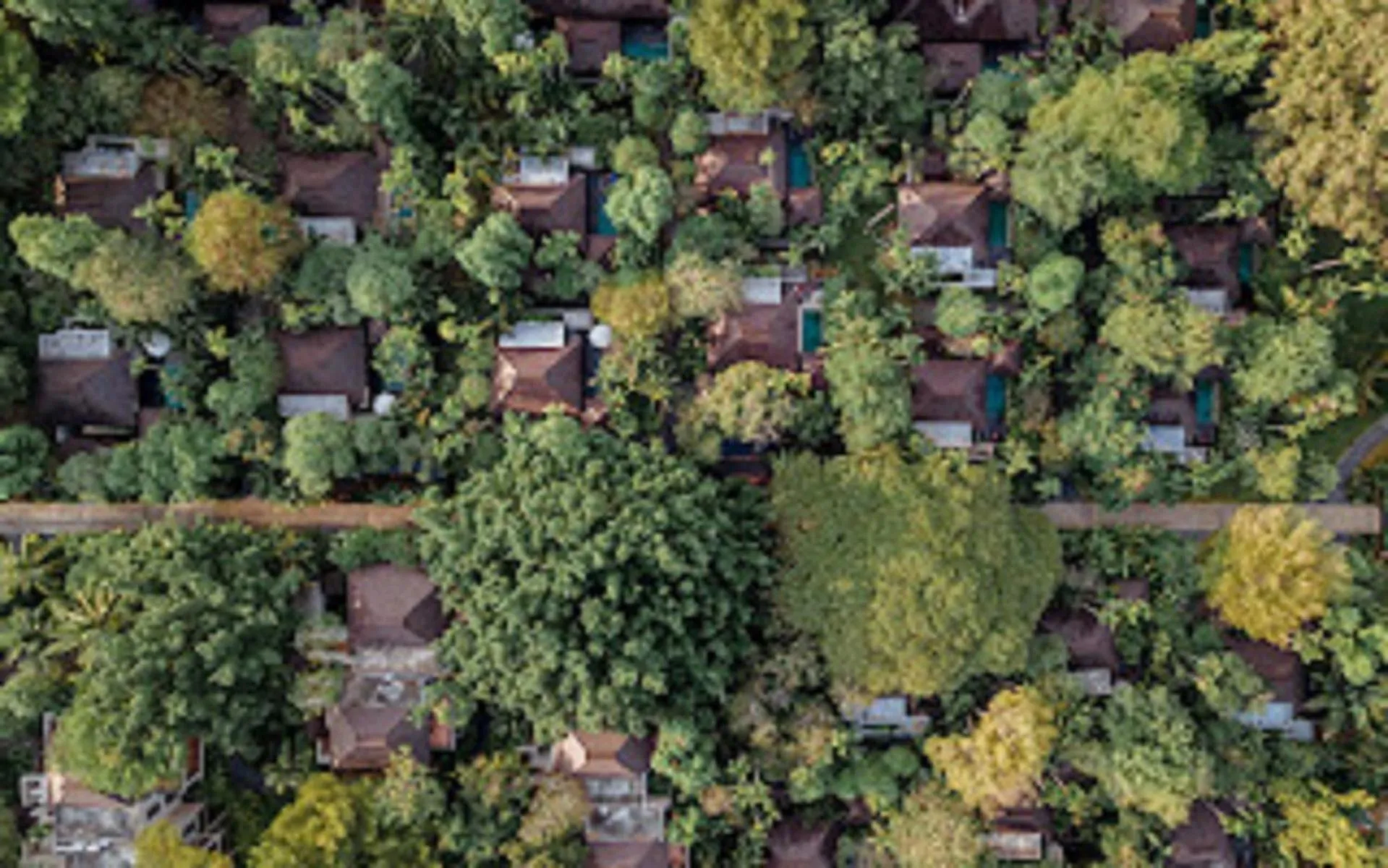 View (from property/room) in Sea Sand Sun Resort and Villas - SHA Plus