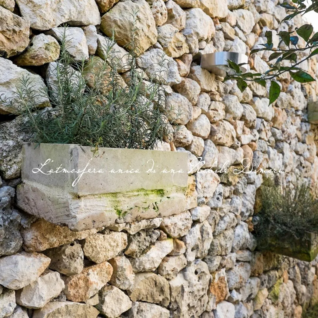 B&B Donnantonietta - Nobile dimora