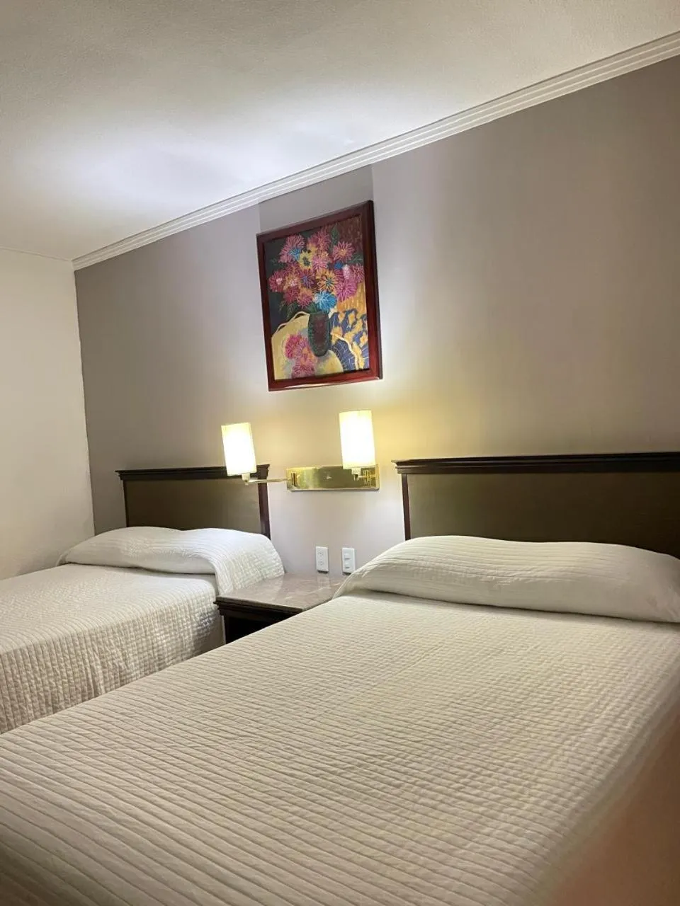 Bed in Hotel Arroyo de la Plata