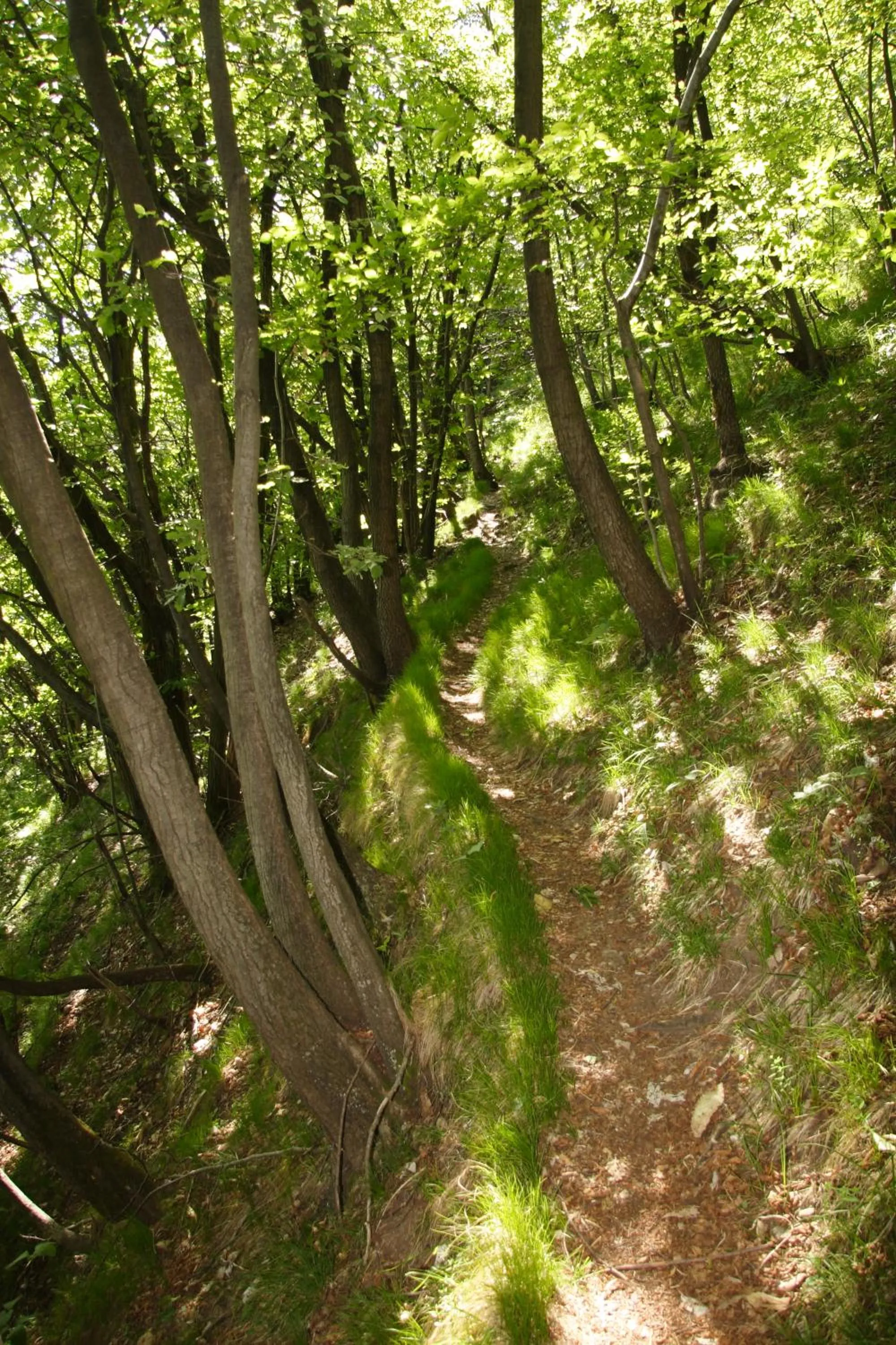 Other in Hotel Il Nibbio