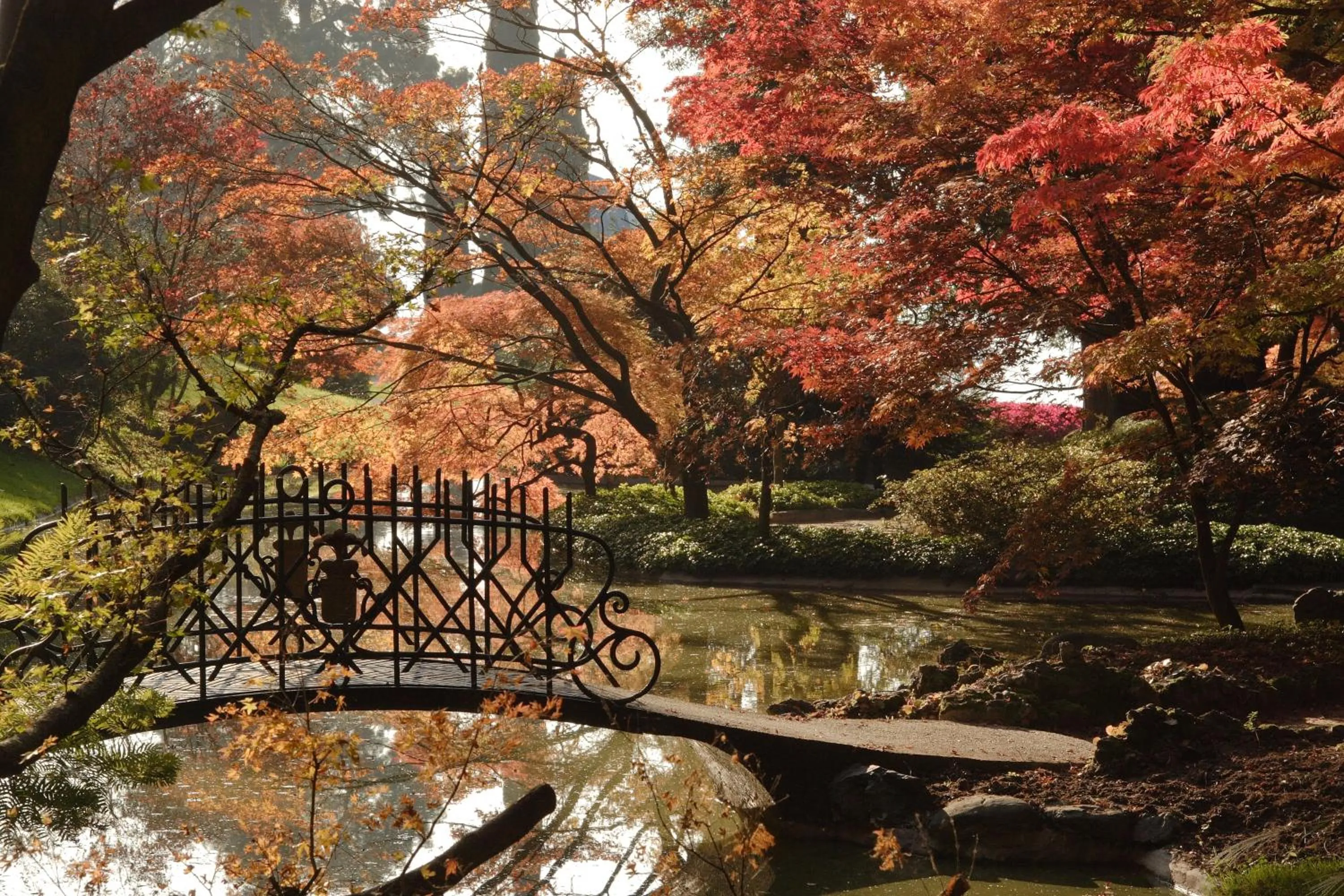 Nearby landmark in Hotel Il Nibbio