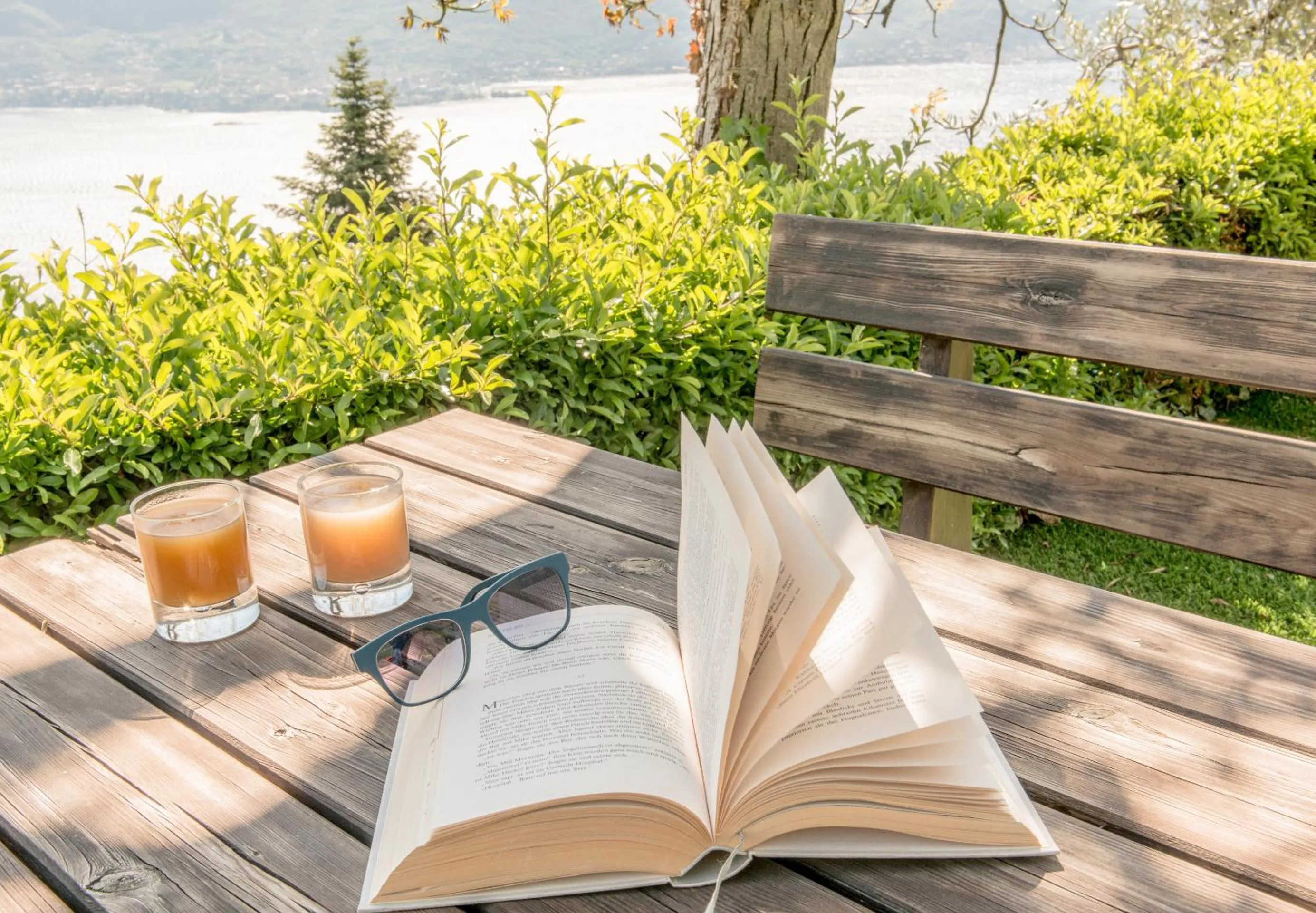 Garden in Village Hotel Lucia