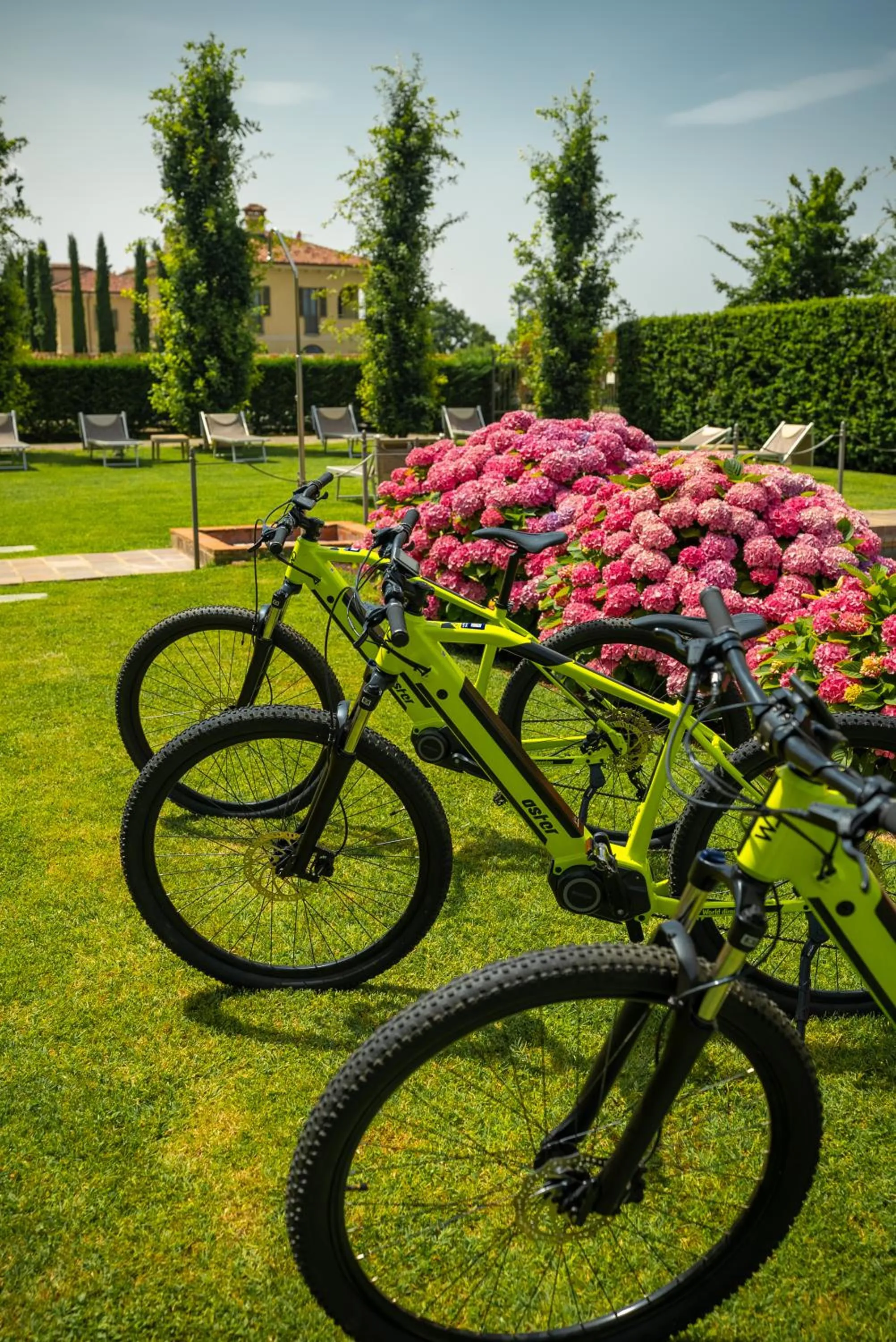 Garden in Hotel I Somaschi