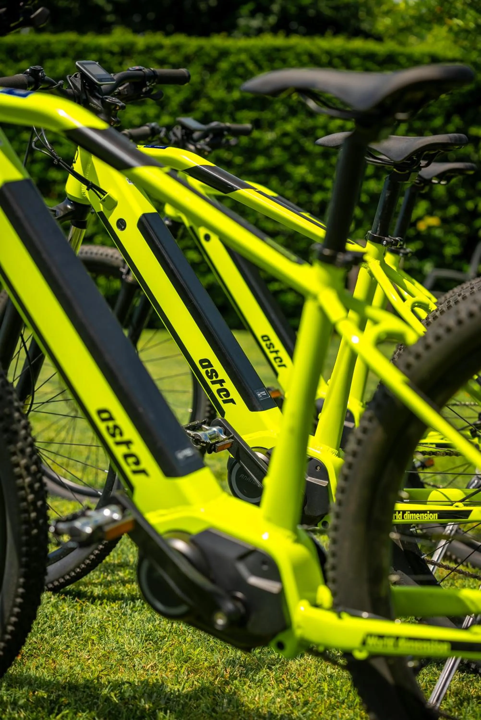 Cycling in Hotel I Somaschi