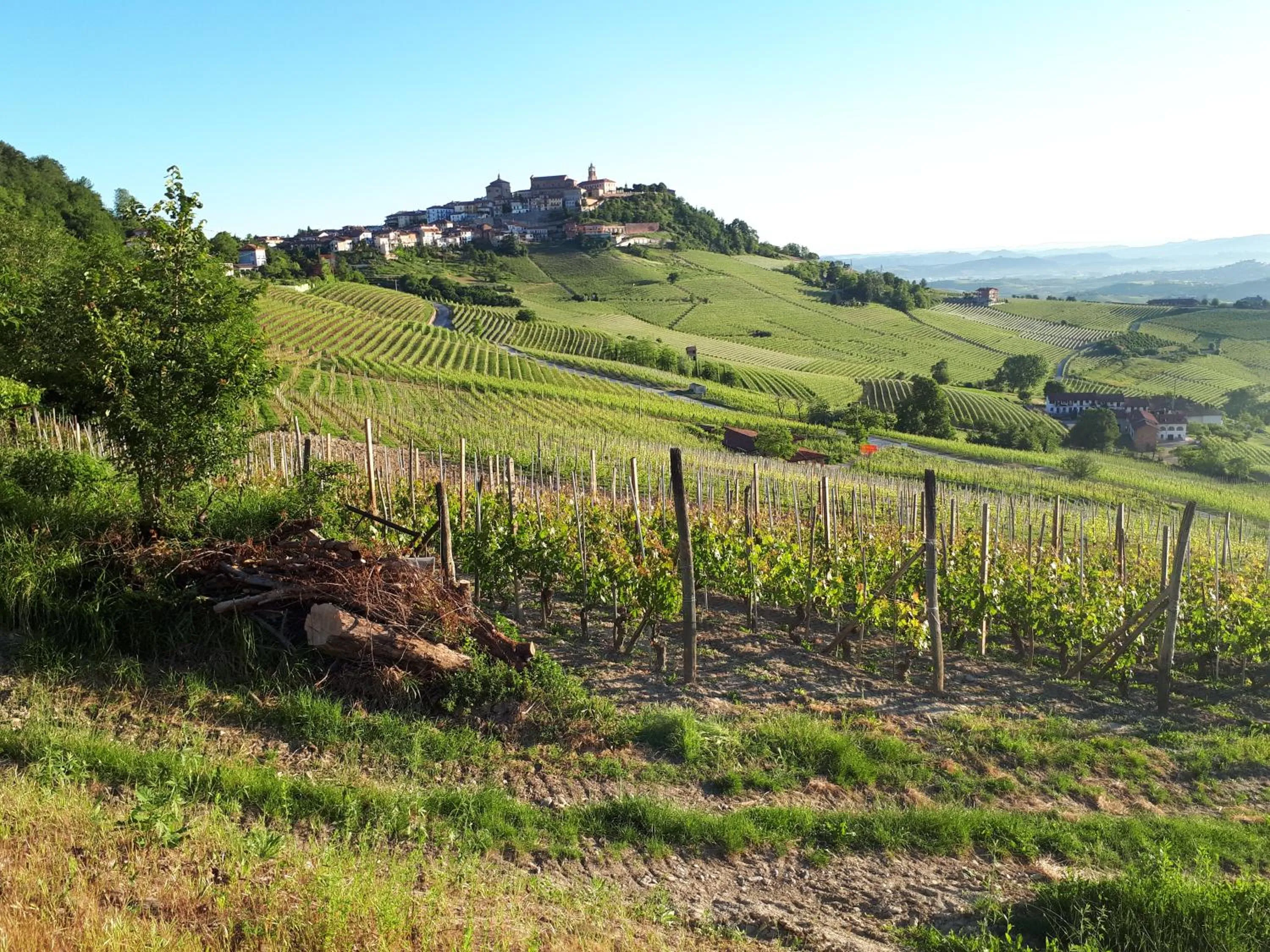 Other in B&B Fior Di Farine