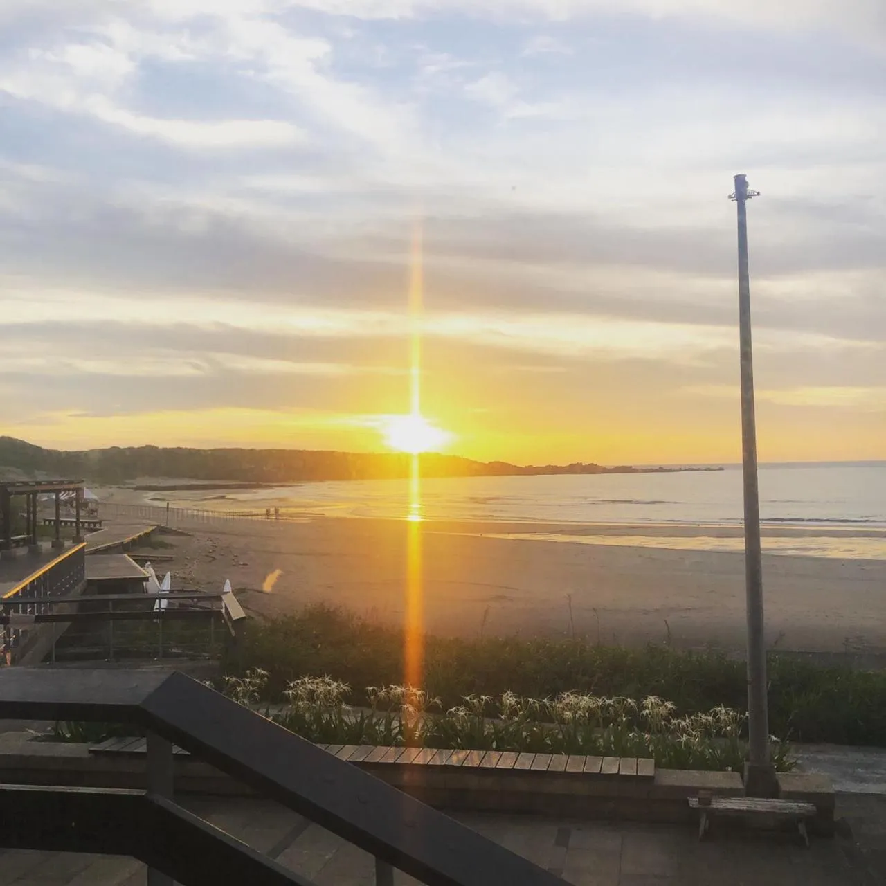 Natural landscape in Chill Chill House