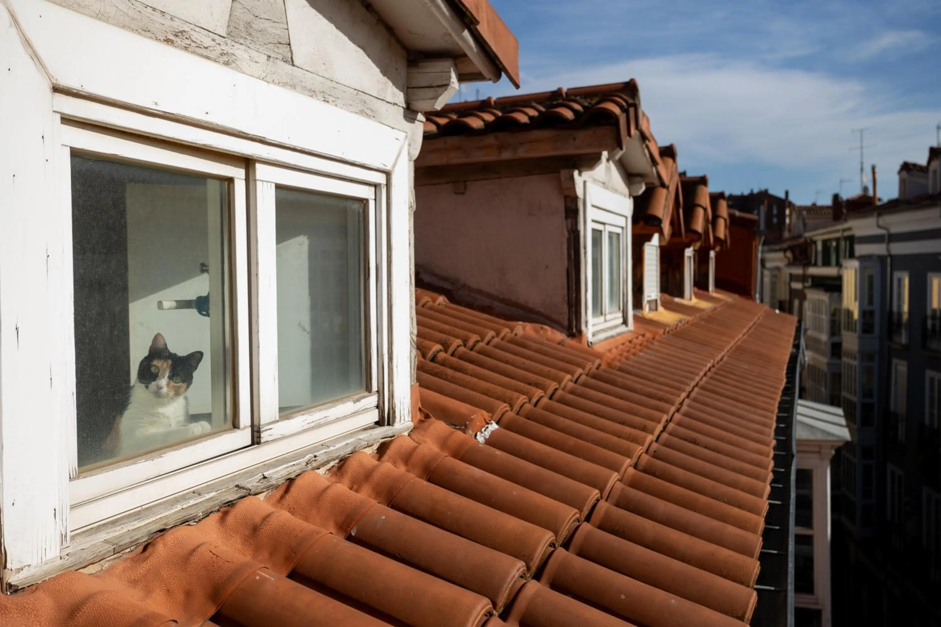 Hotel Centro Los Braseros