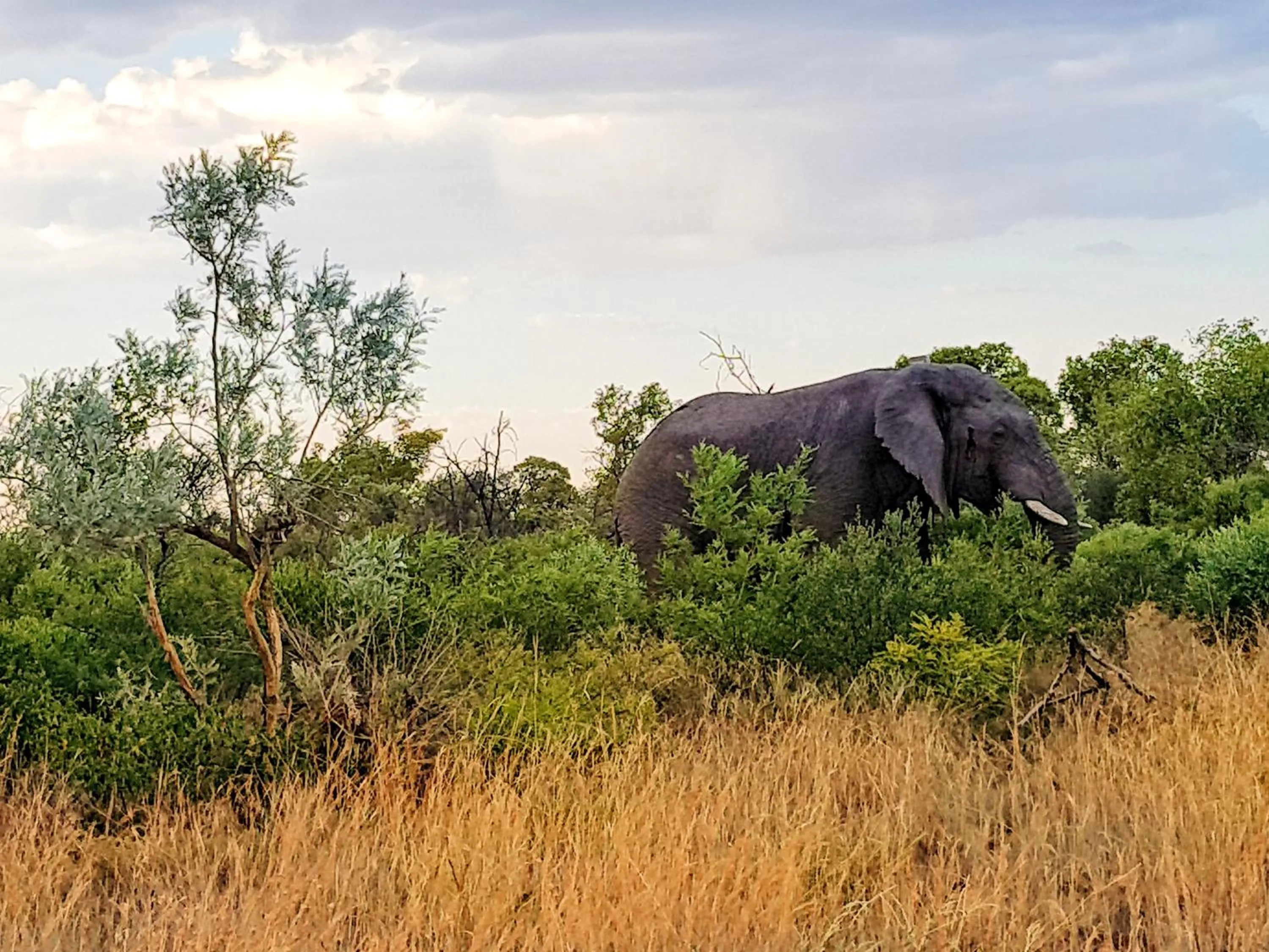 OuKlip Game Lodge