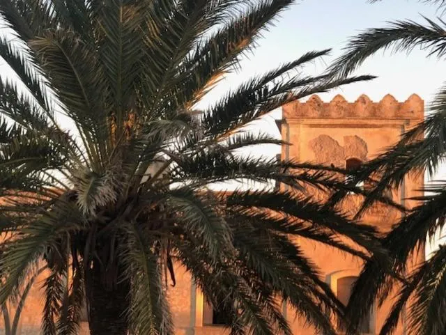 Nearby landmark in Hotel Avenida Playa