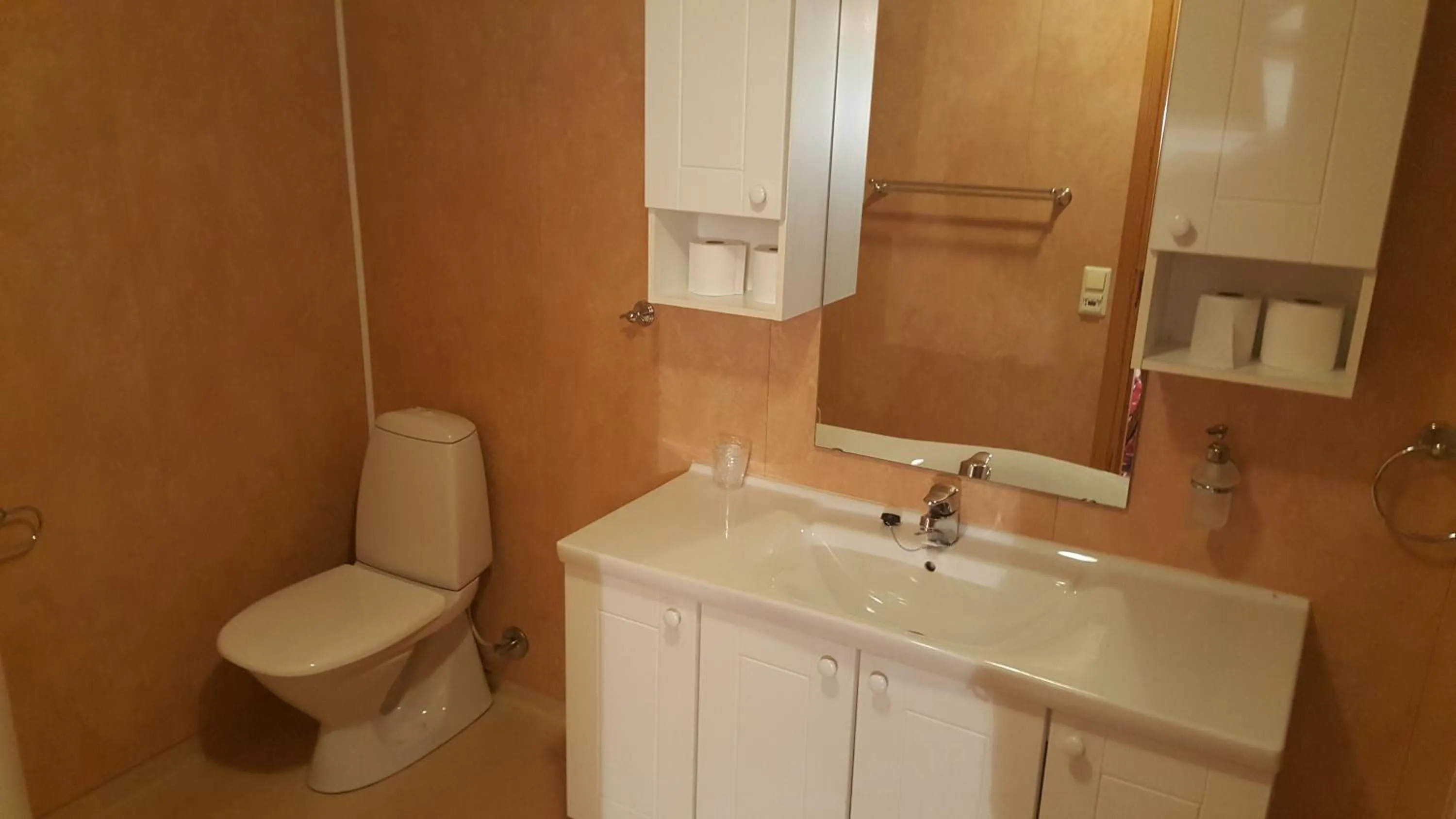 Toilet in Skeisvang Gjestgiveri