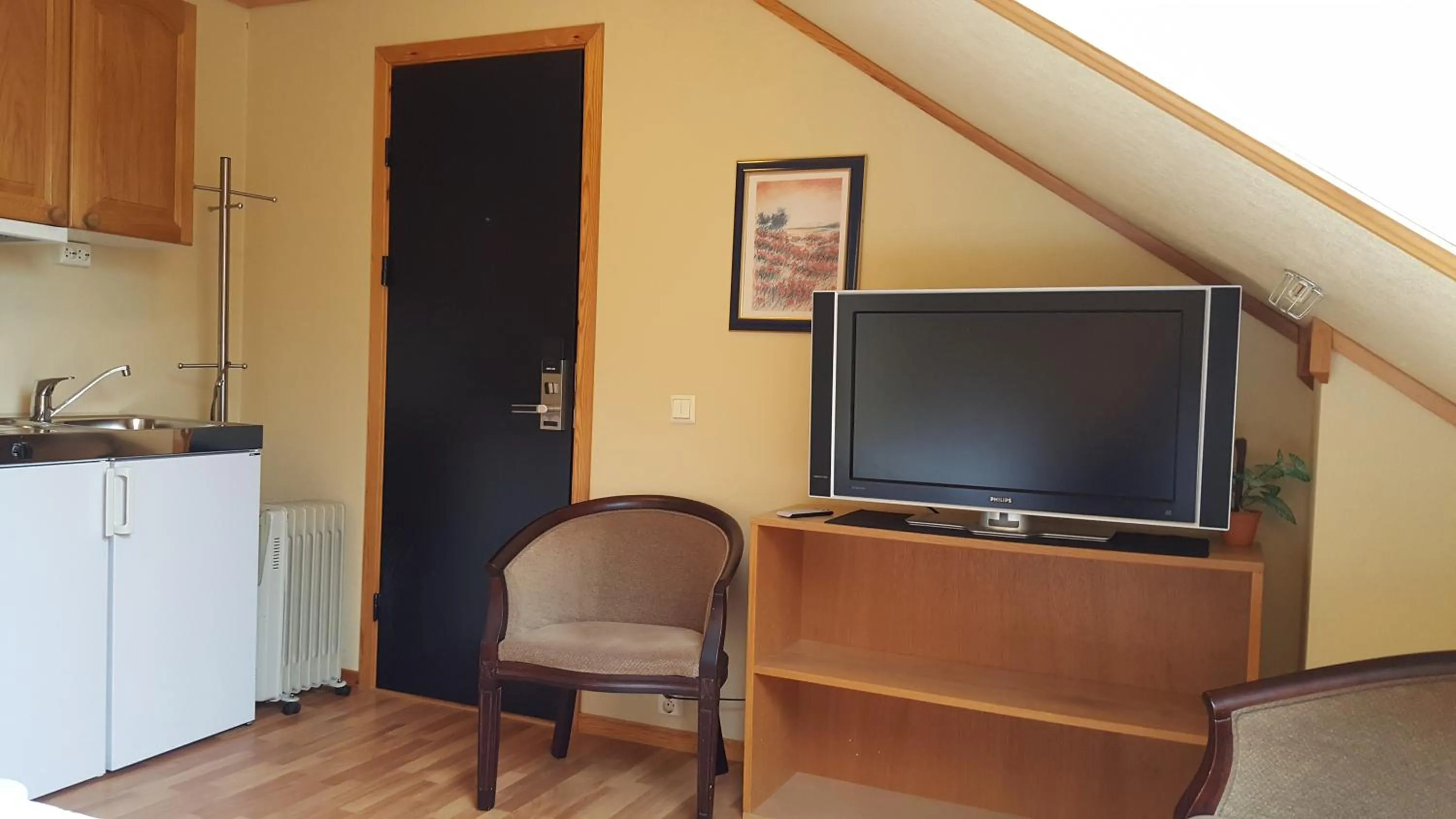 TV and multimedia in Skeisvang Gjestgiveri