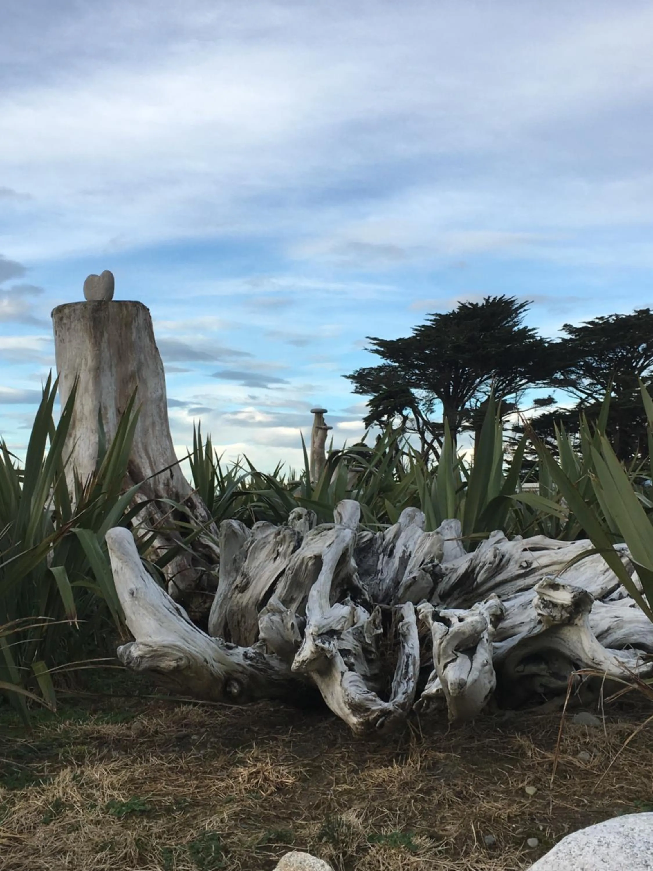 Natural landscape in Ross Beach TOP10 Holiday Park