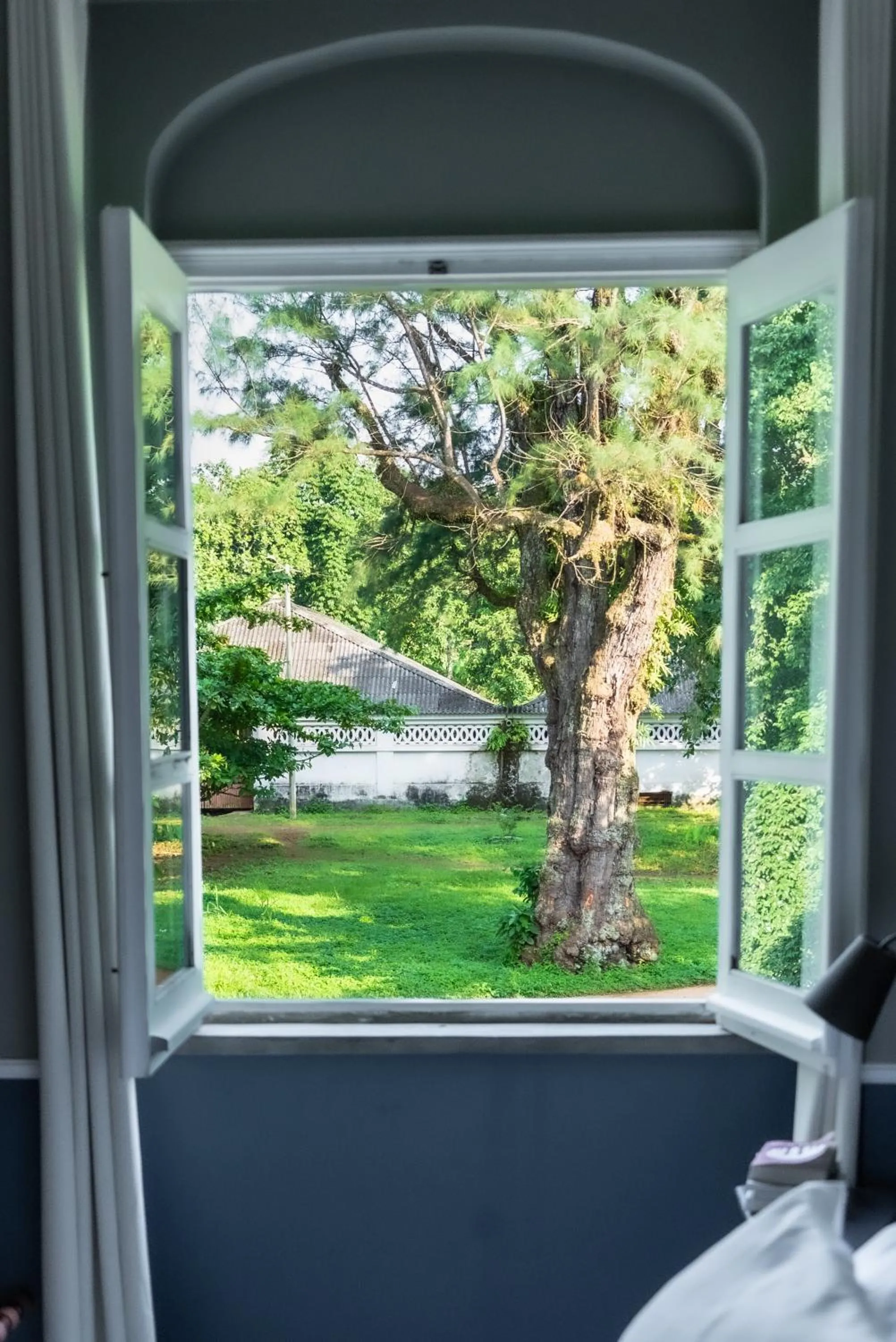 View (from property/room) in Roça Sundy - Principe Collection