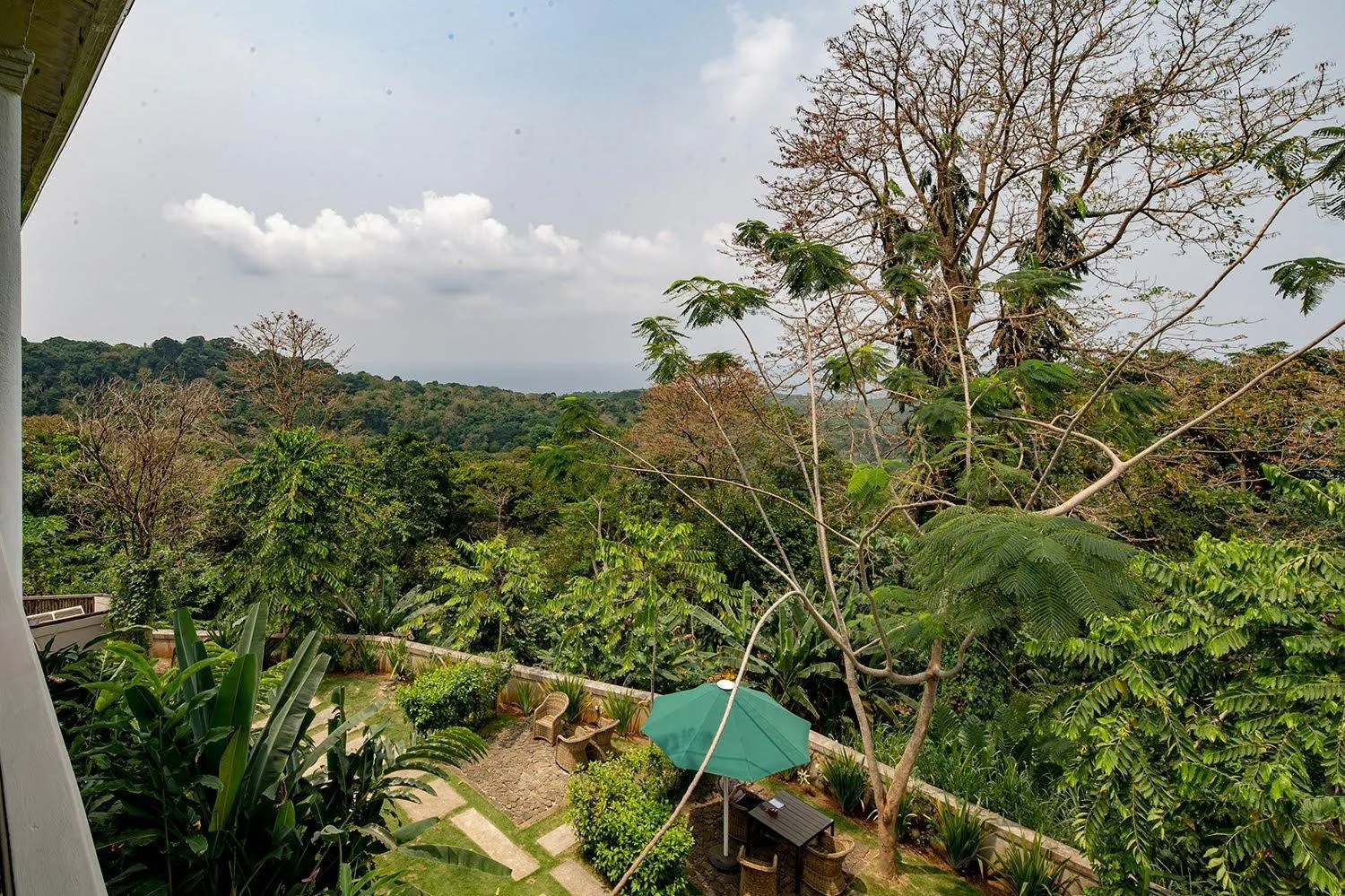 Natural landscape in Roça Sundy - Principe Collection
