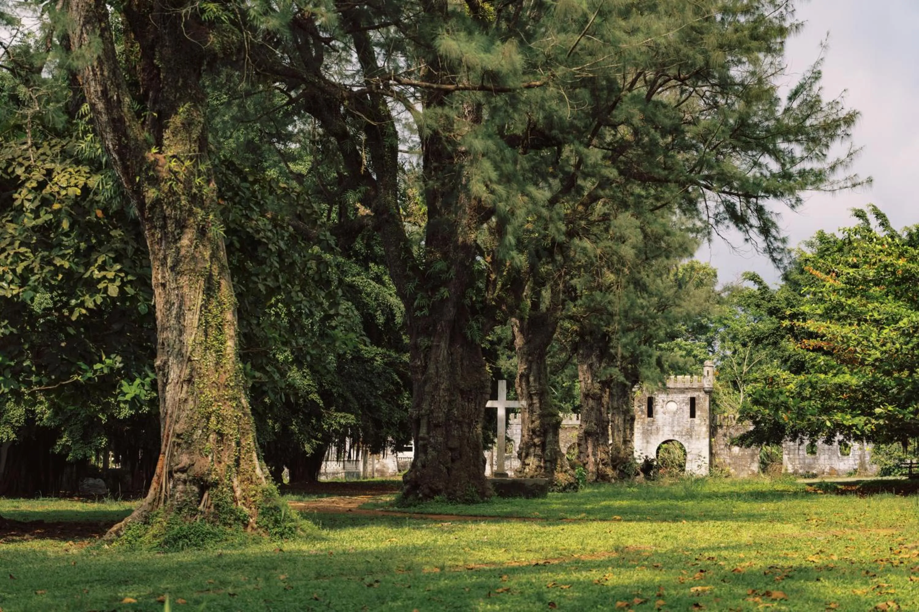 Garden in Roça Sundy - Principe Collection