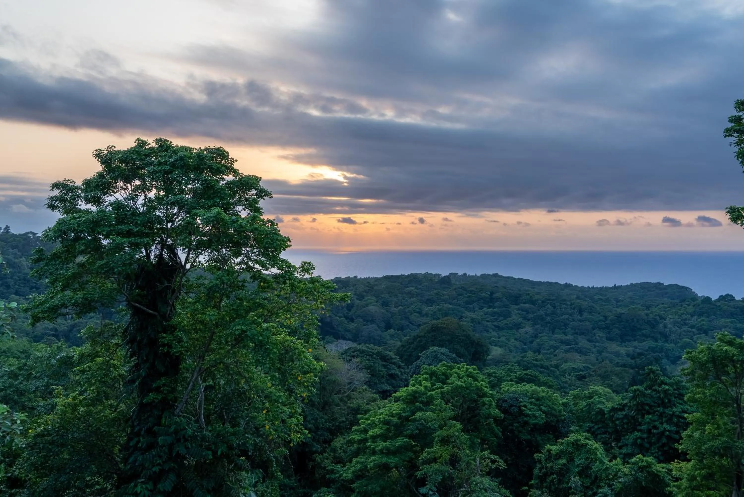 Property building in Roça Sundy - Principe Collection