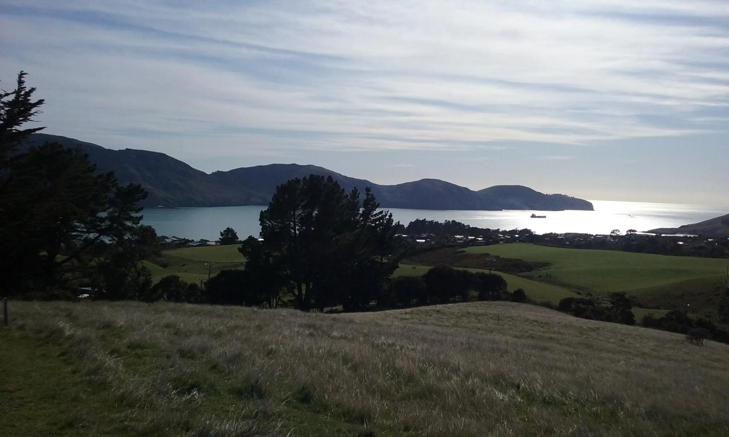 Neighbourhood in Magnolia Cottage