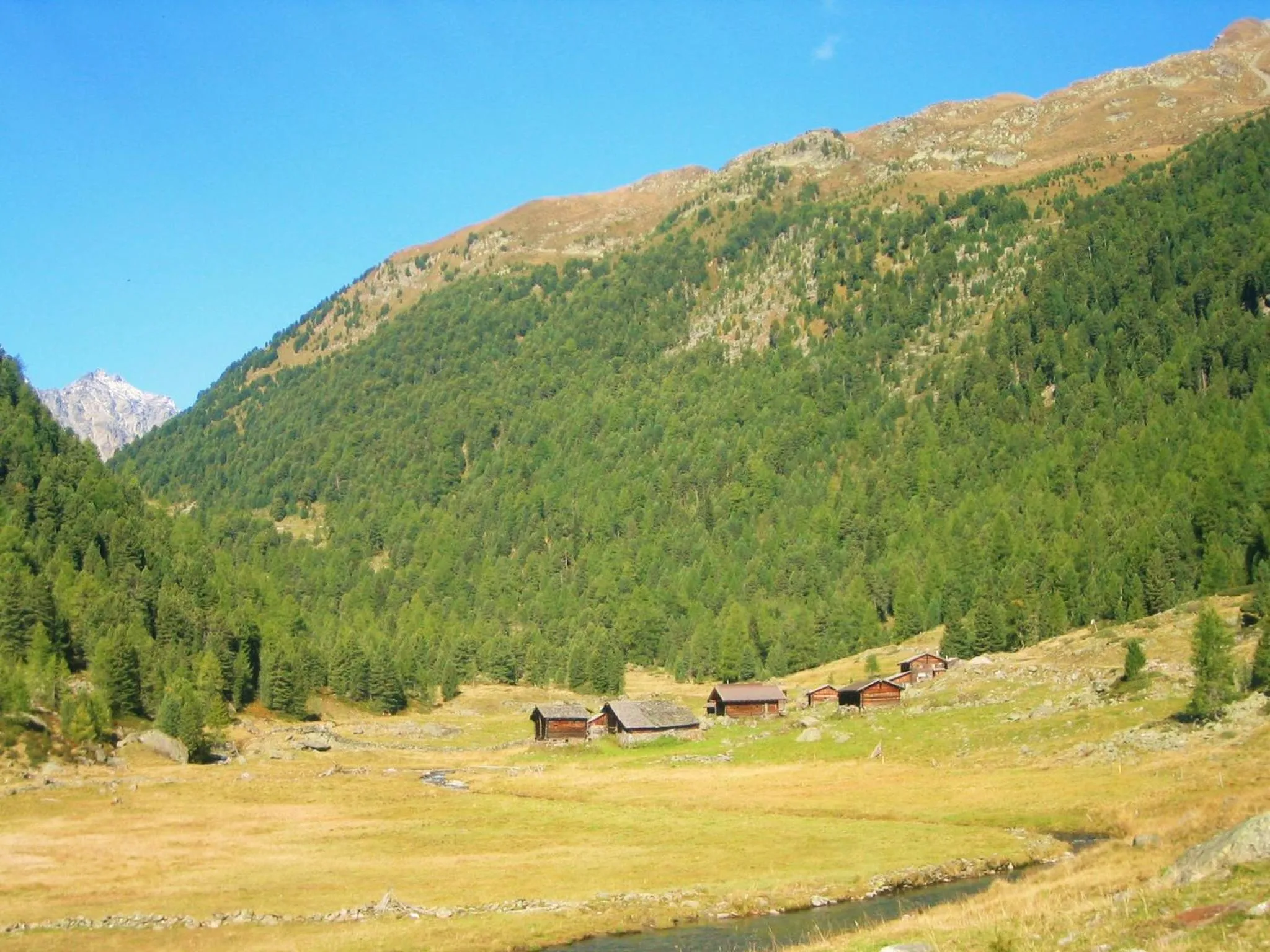 Hiking in Ledererhof Apartments