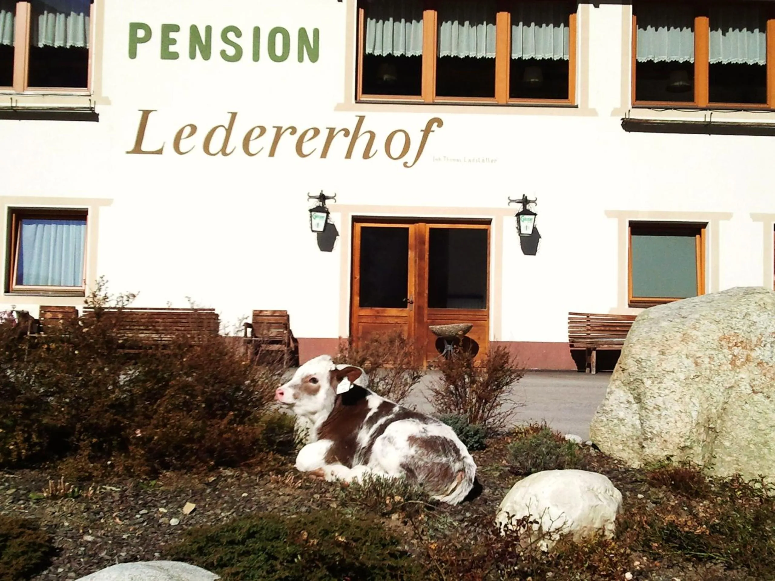 Pets in Ledererhof Apartments