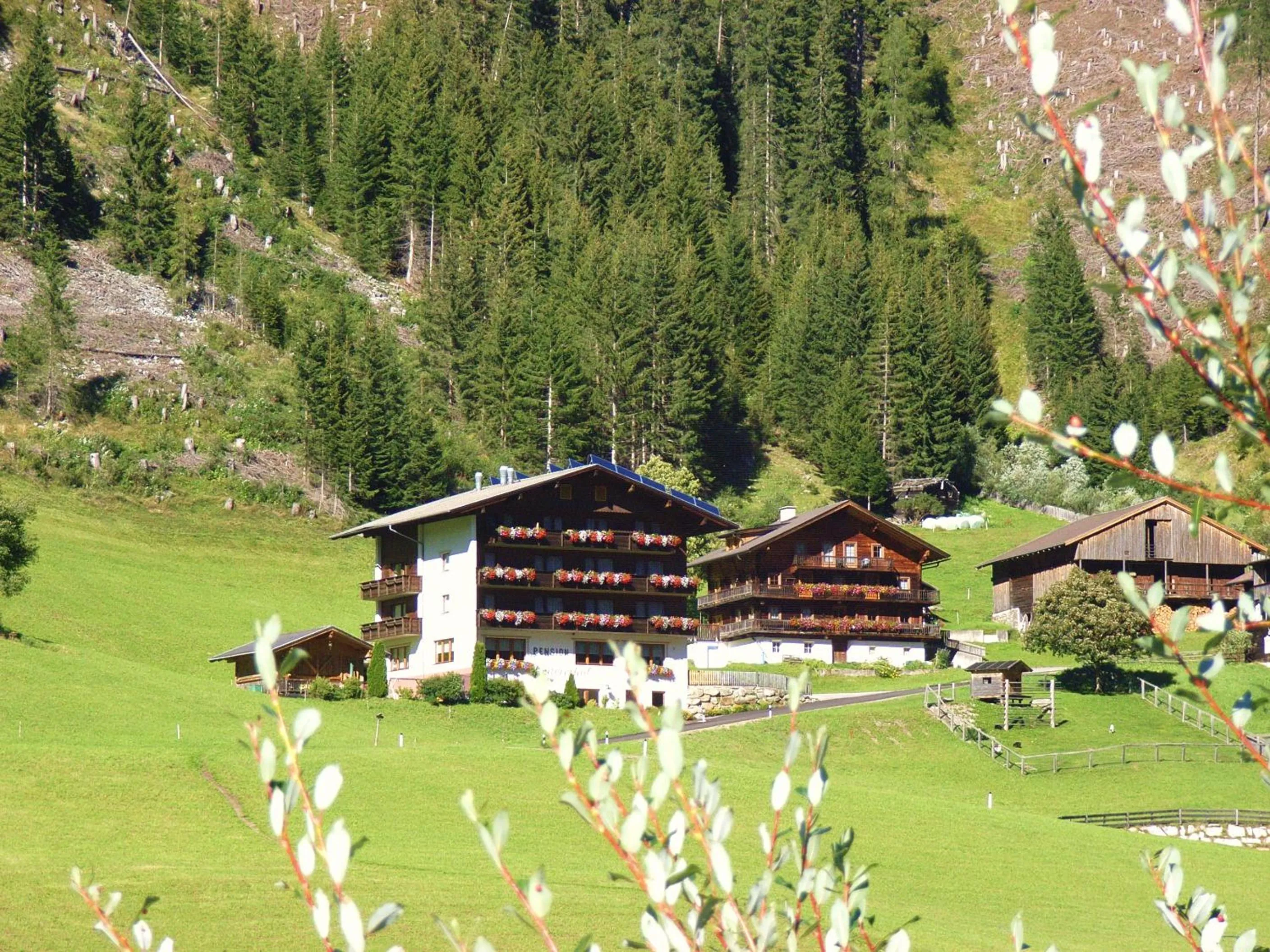 Property building in Ledererhof Apartments