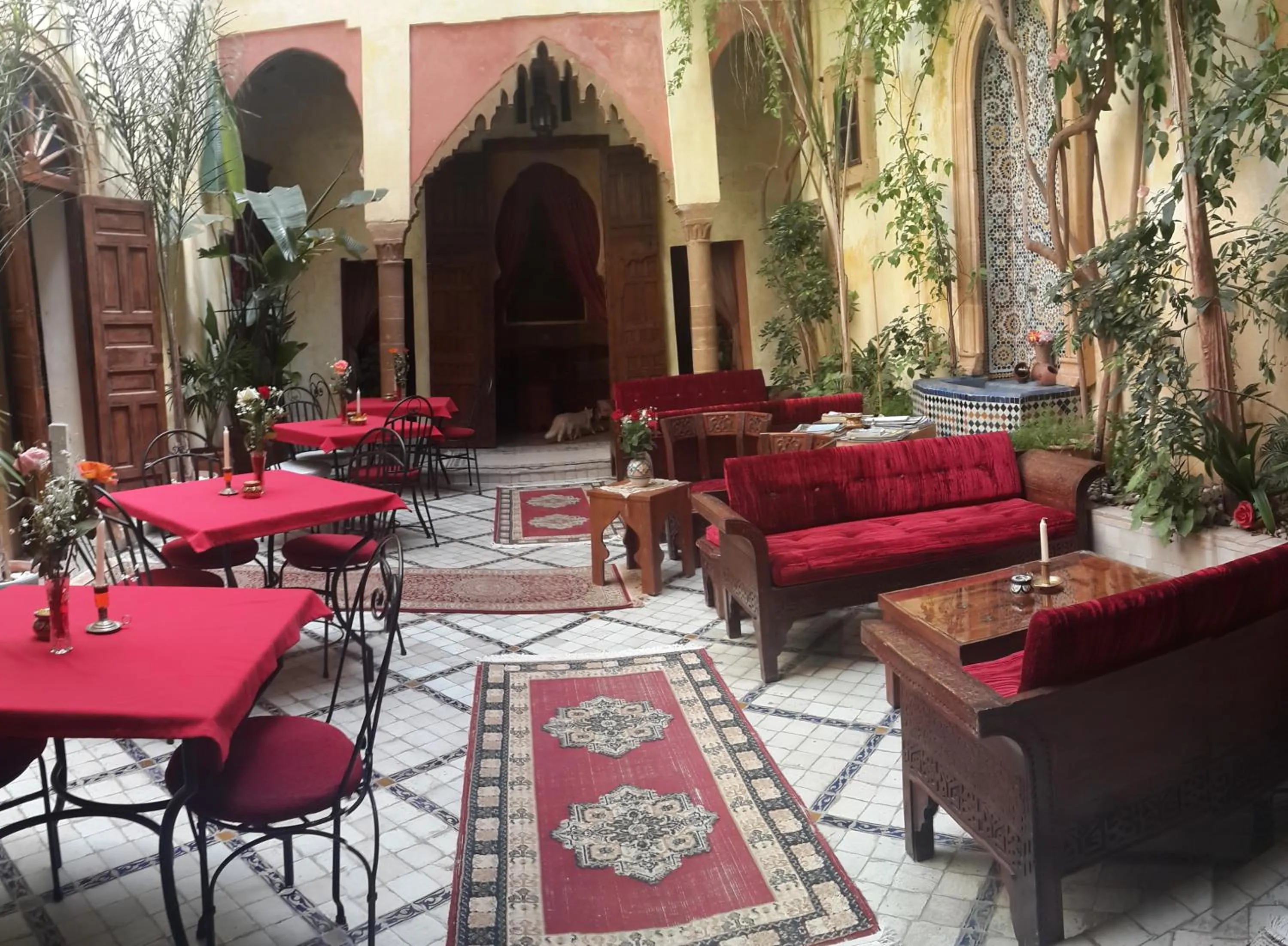Restaurant/places to eat in Riad Marlinea