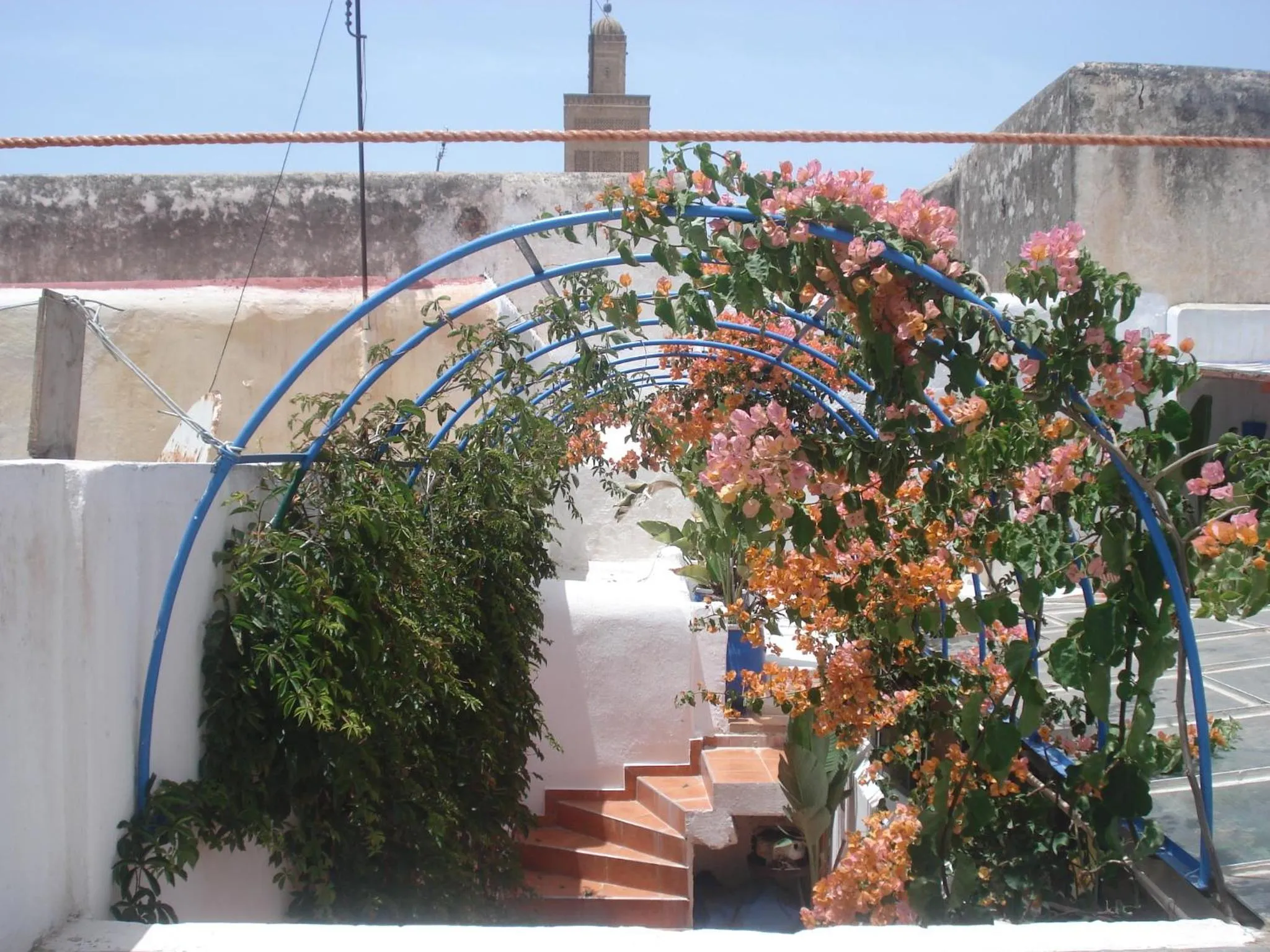 Balcony/Terrace in Riad Marlinea