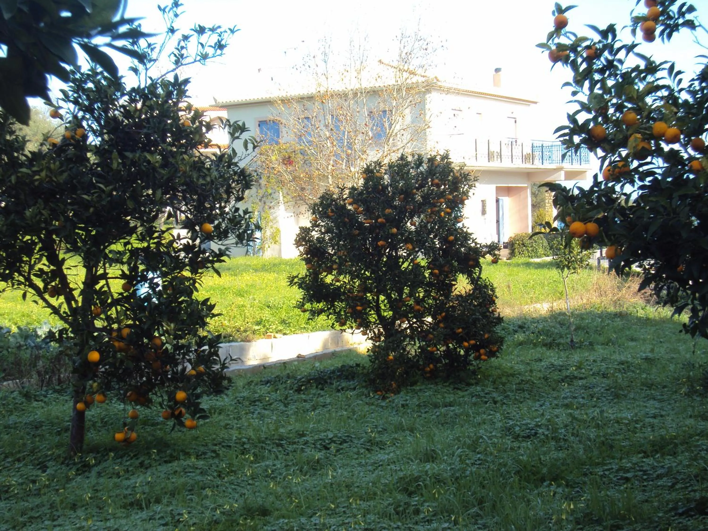 Villa Nostos