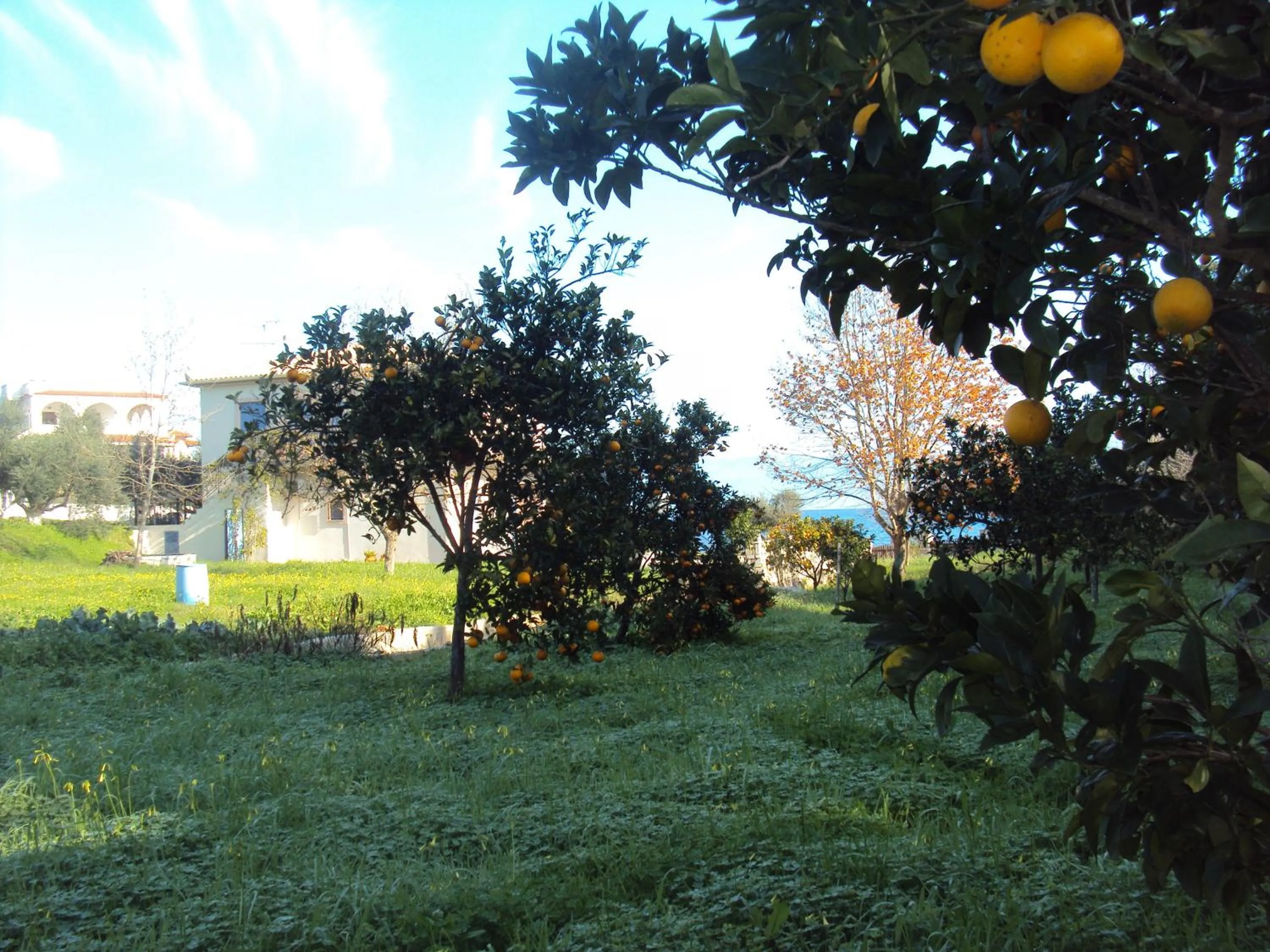 Villa Nostos
