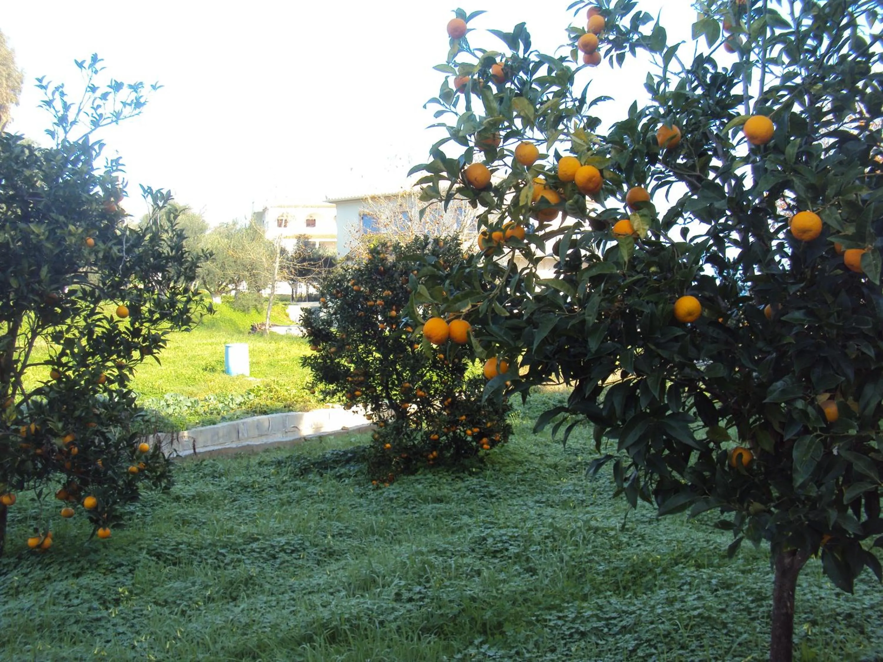 Villa Nostos
