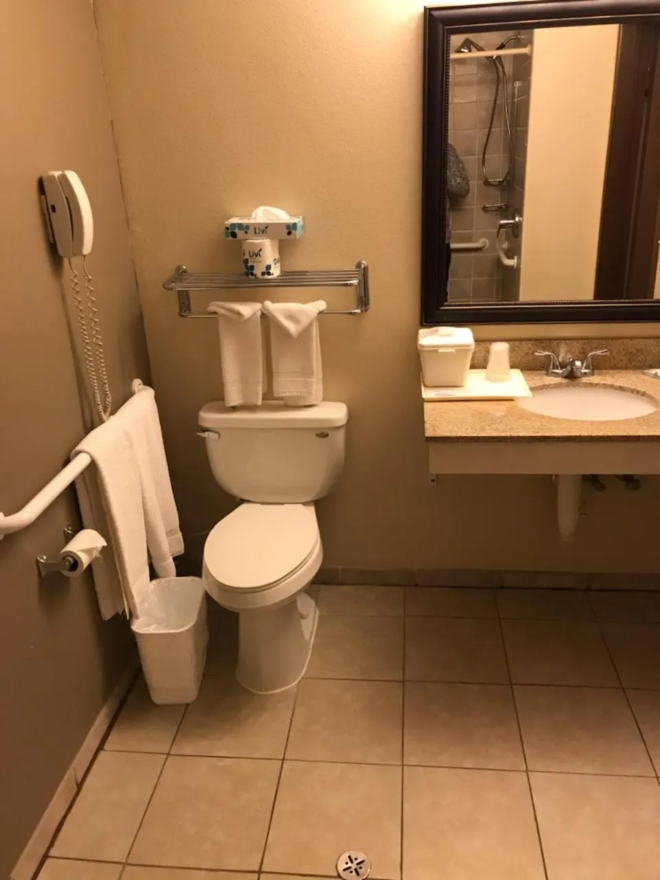 Toilet in Quality Inn and Suites Silverthorne - Copper Mountain