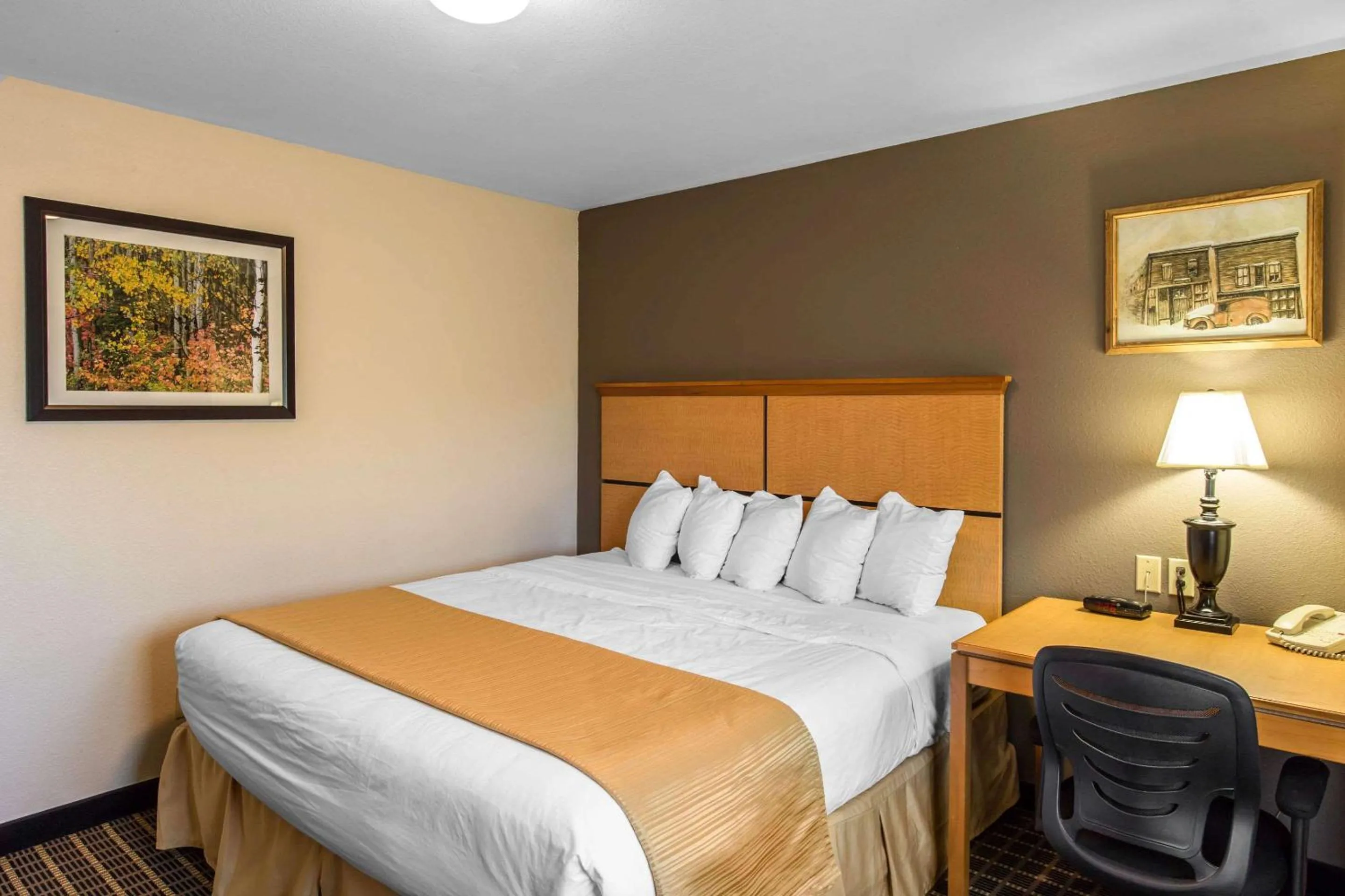 Photo of the whole room, Bed in Quality Inn and Suites Silverthorne - Copper Mountain