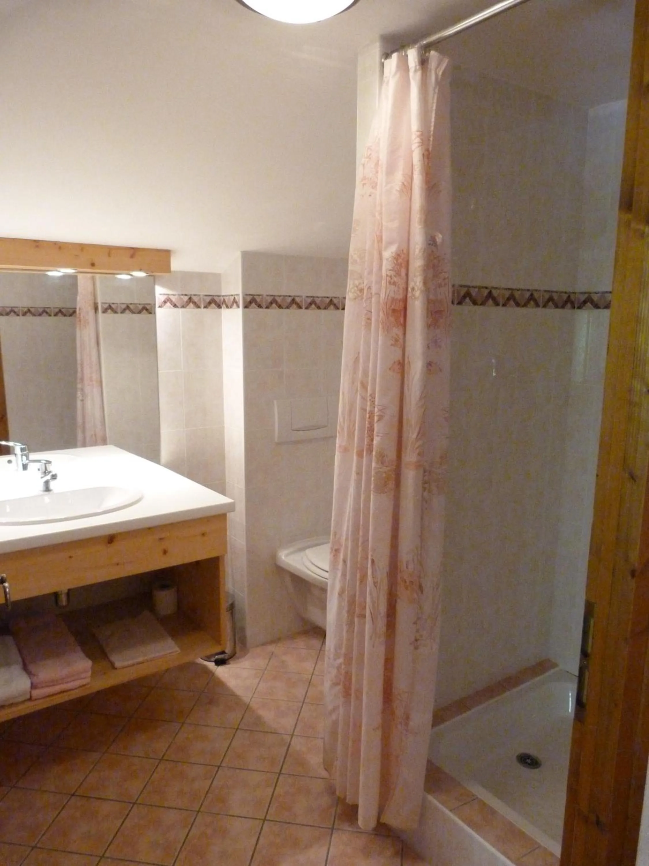 Shower in Hôtel Belalp