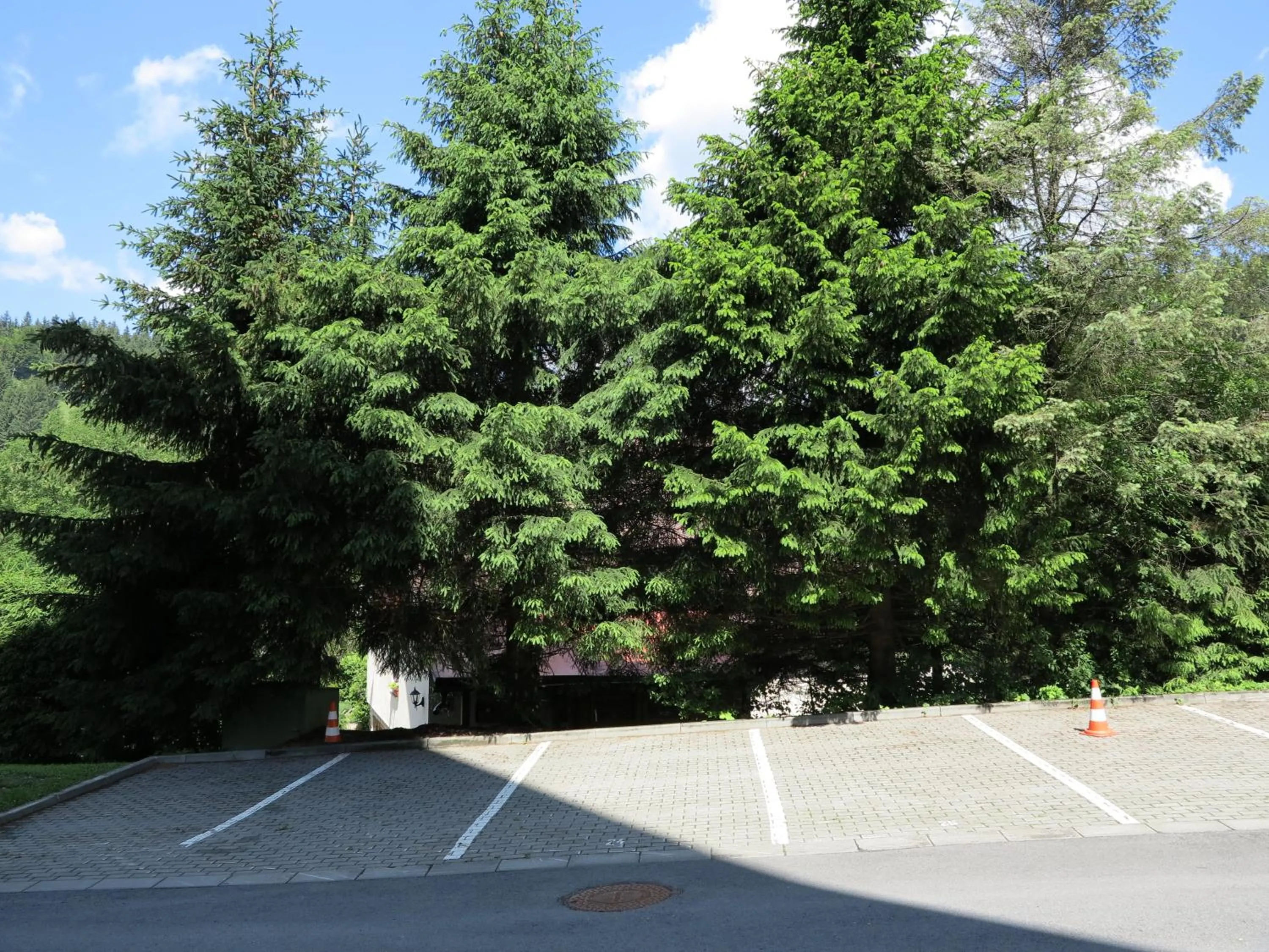 Area and facilities in Apartman Razula
