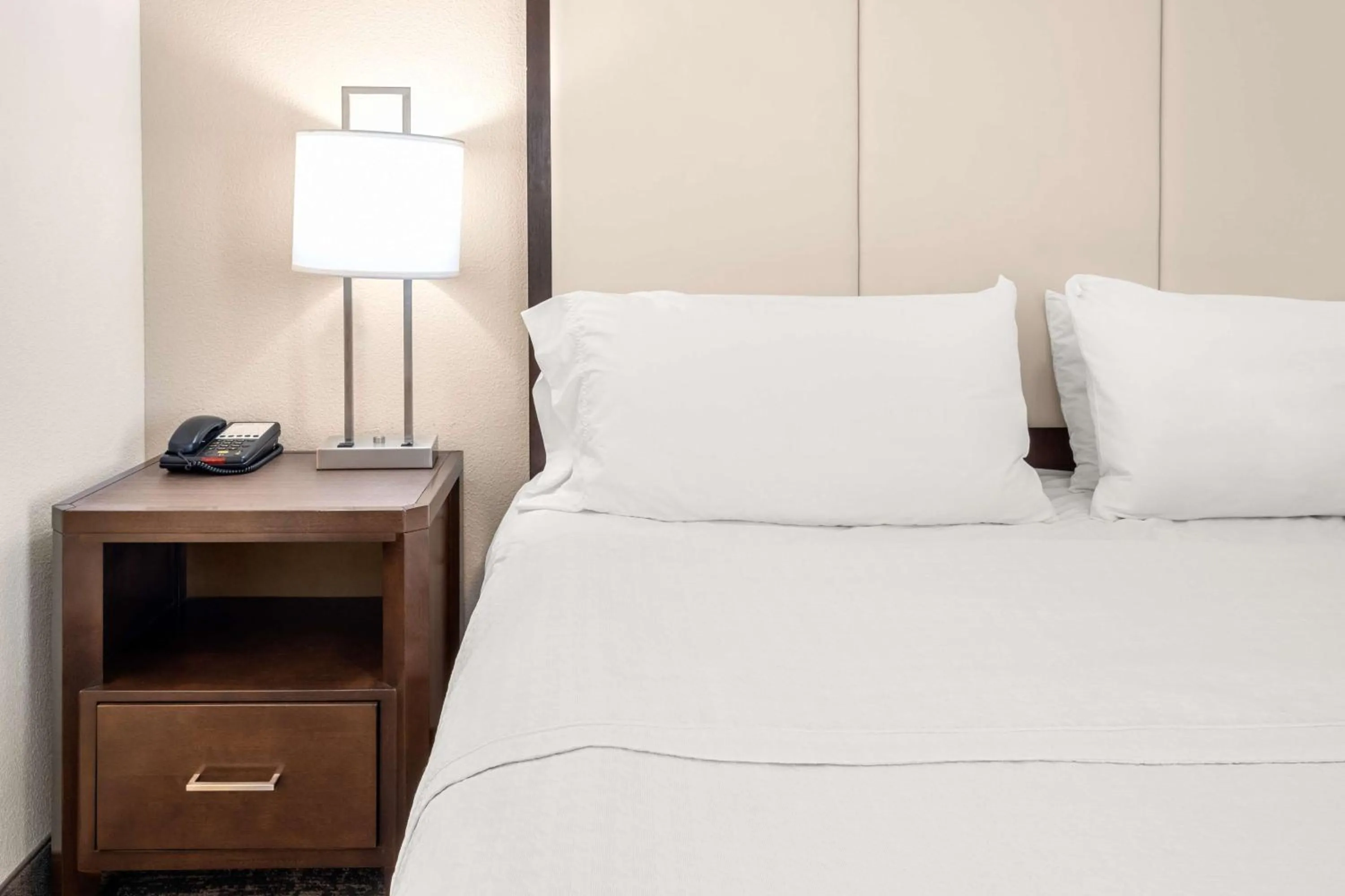 Bed in Homewood Suites By Hilton San Marcos