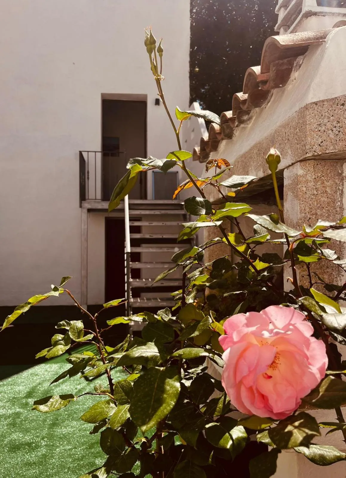 Balcony/Terrace in The square