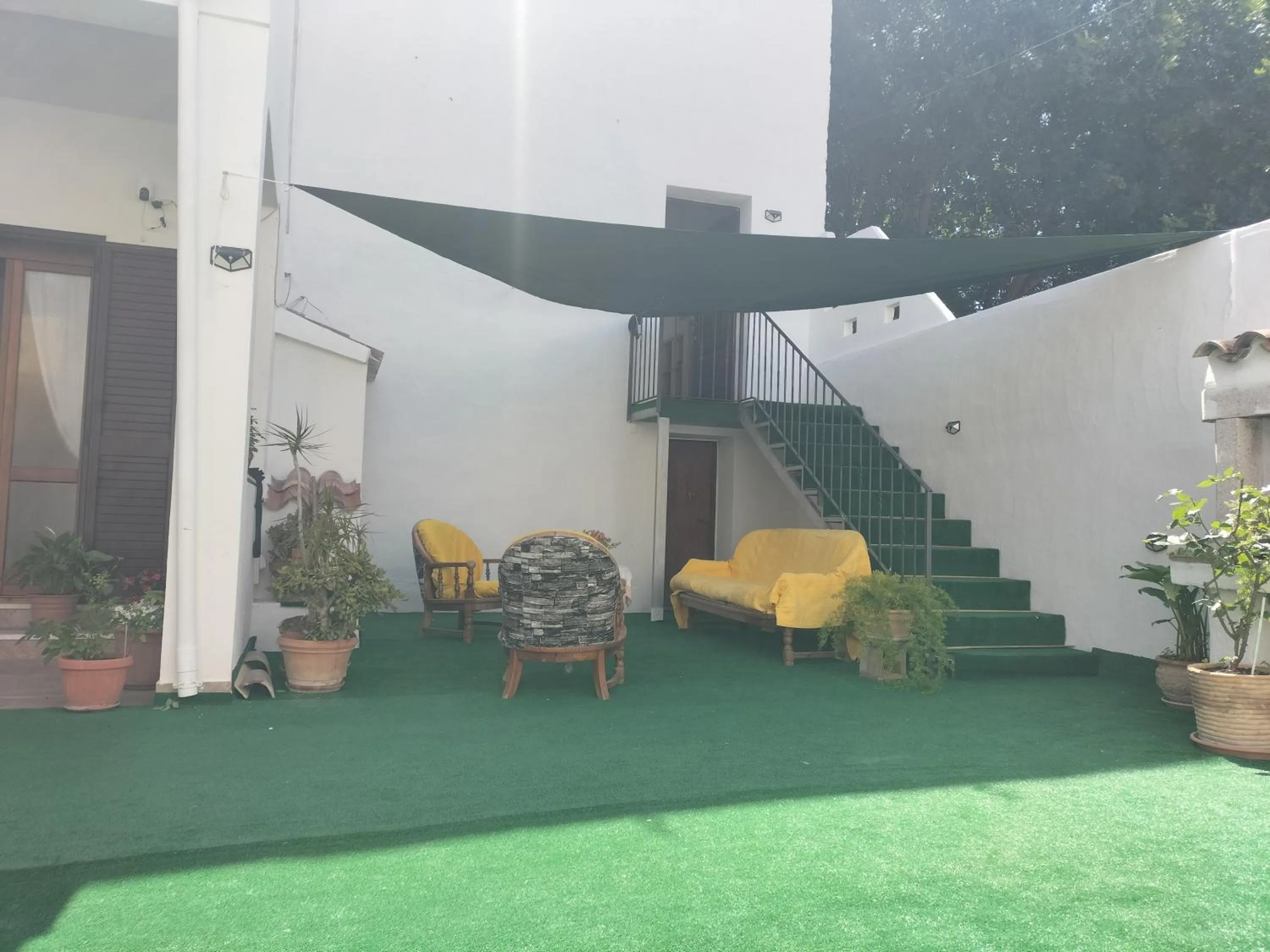 Garden in The square