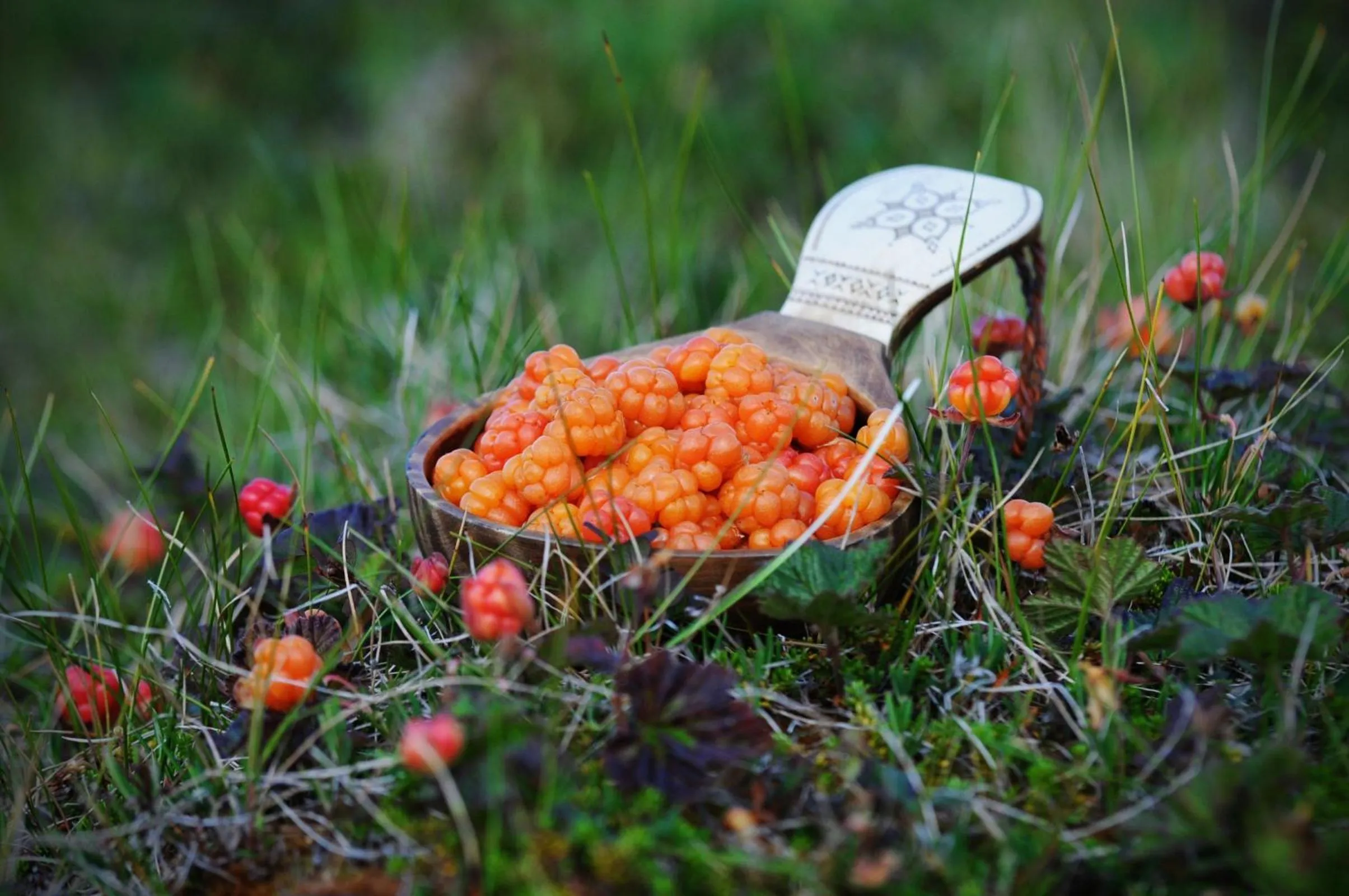 Other in Break Sokos Hotel Levi