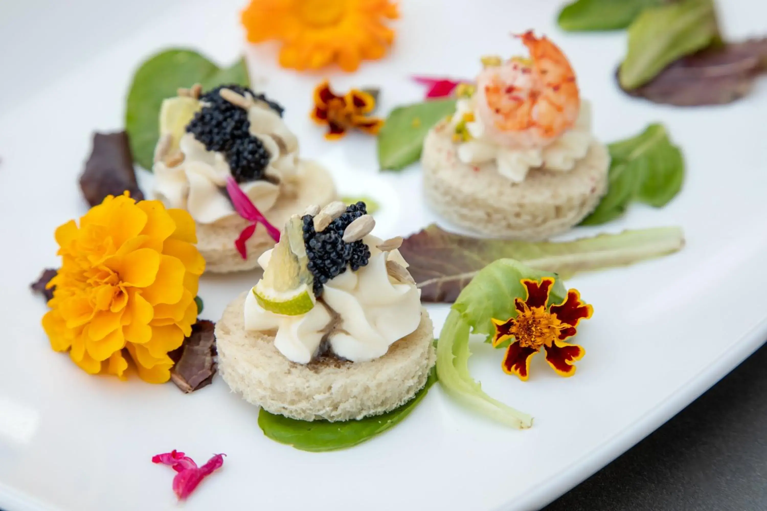 Food close-up in Alla Corte Delle Terme Resort Food close-up in Alla Corte Delle Terme Resort