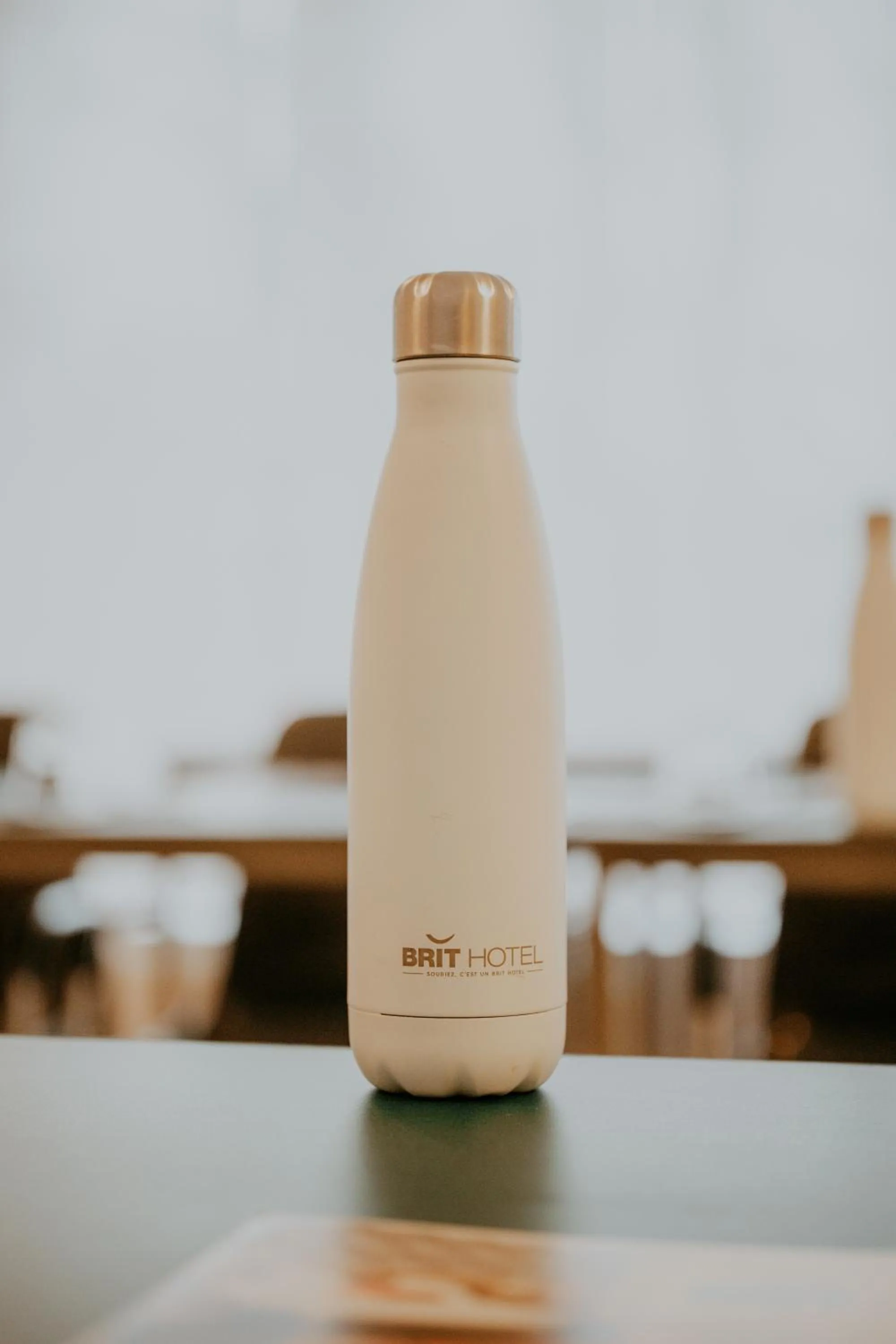 Meeting/conference room in Brit Hotel Le Parc Vichy