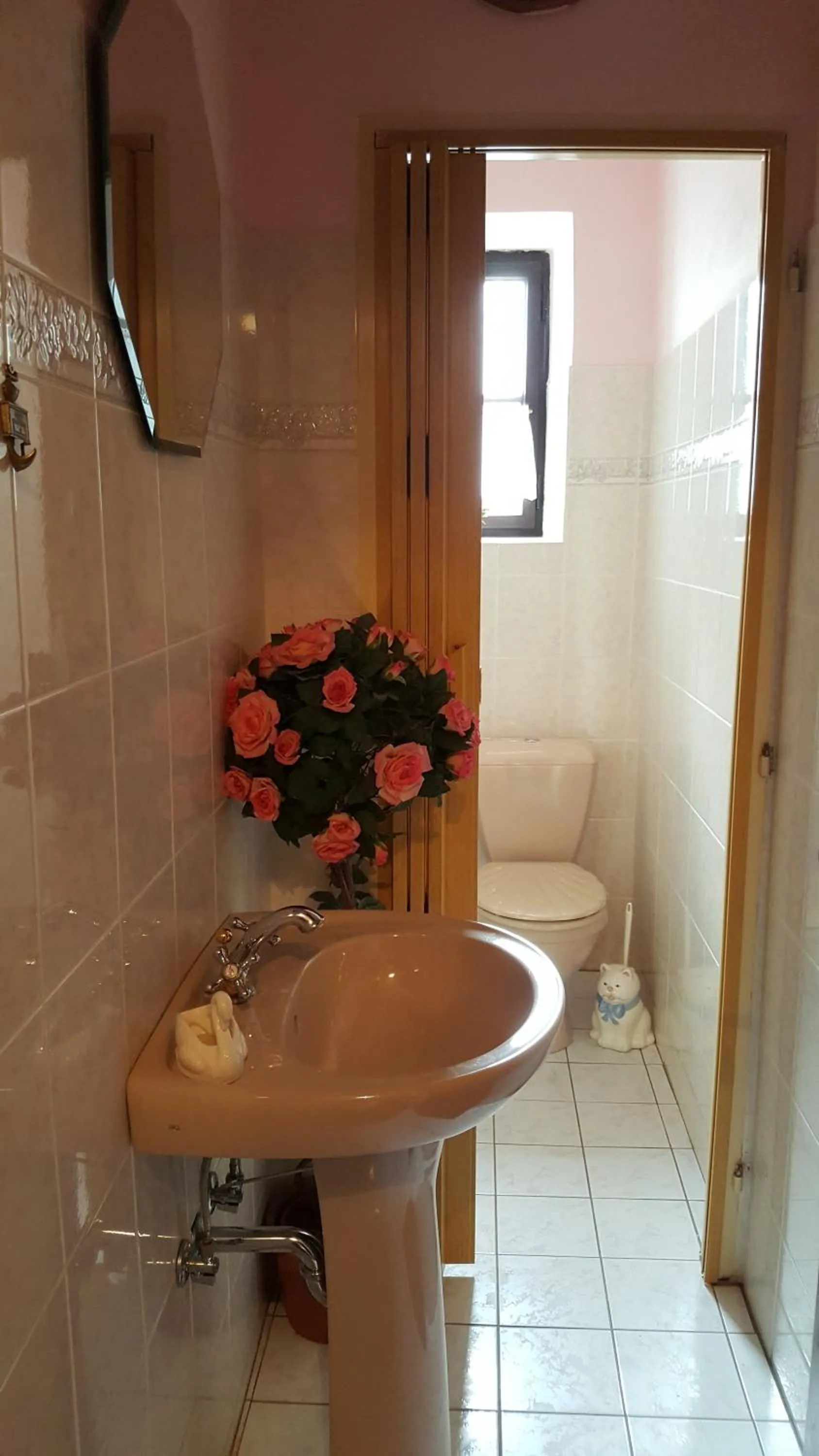 Shower in Penzion U Fridy