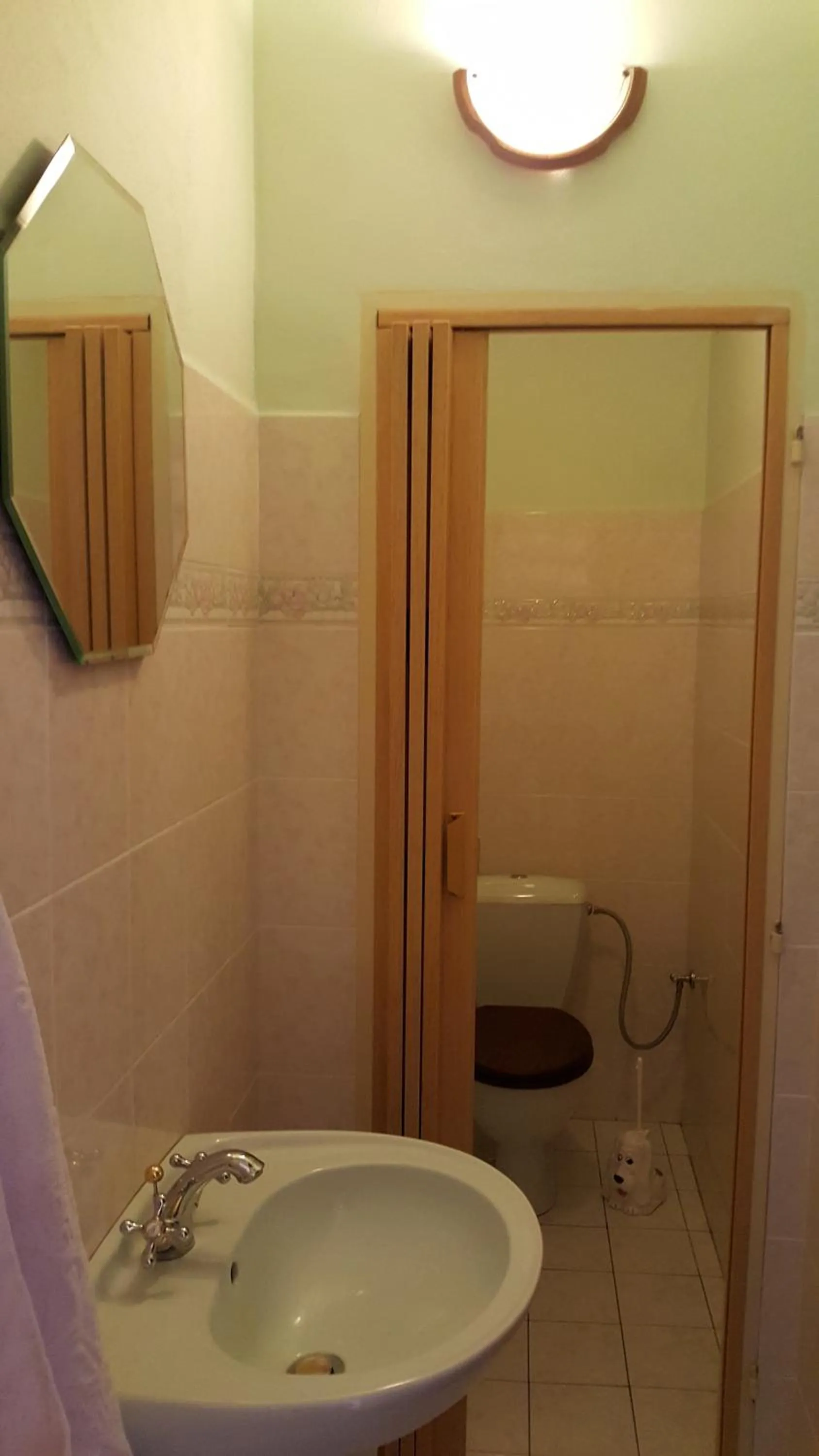 Shower in Penzion U Fridy