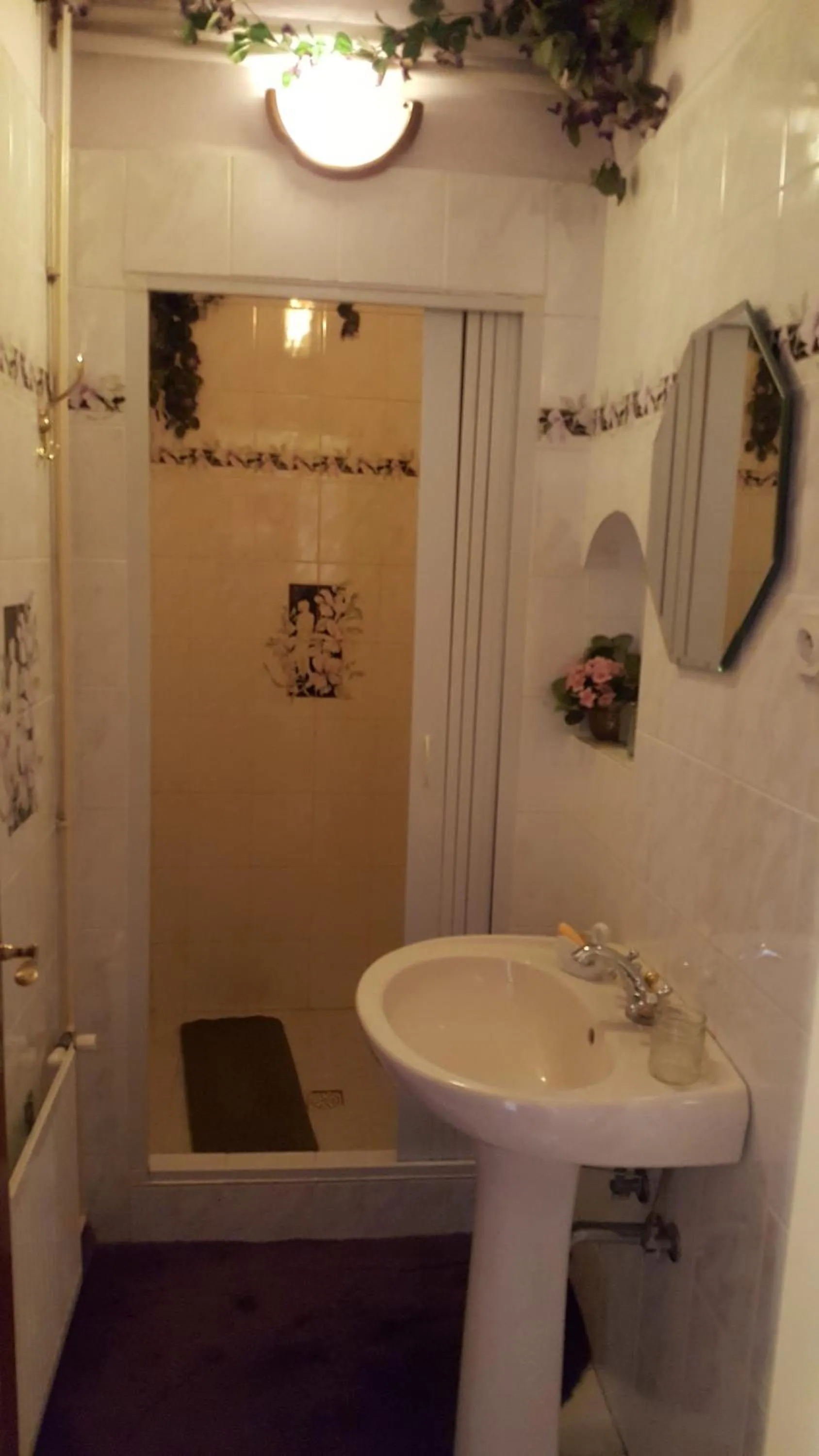 Shower in Penzion U Fridy