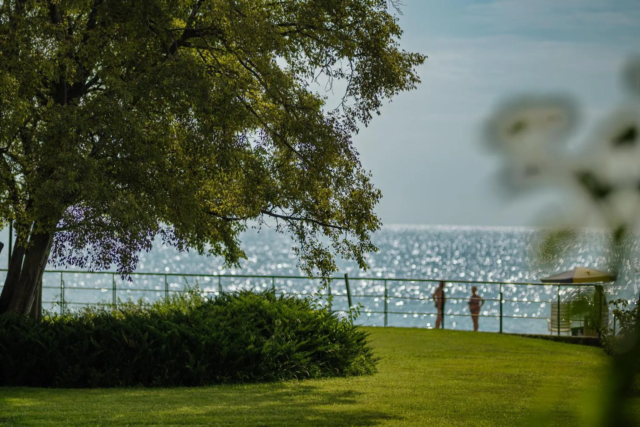 Garden in HVD Lotos Hotel - Private Beach & Free Parking