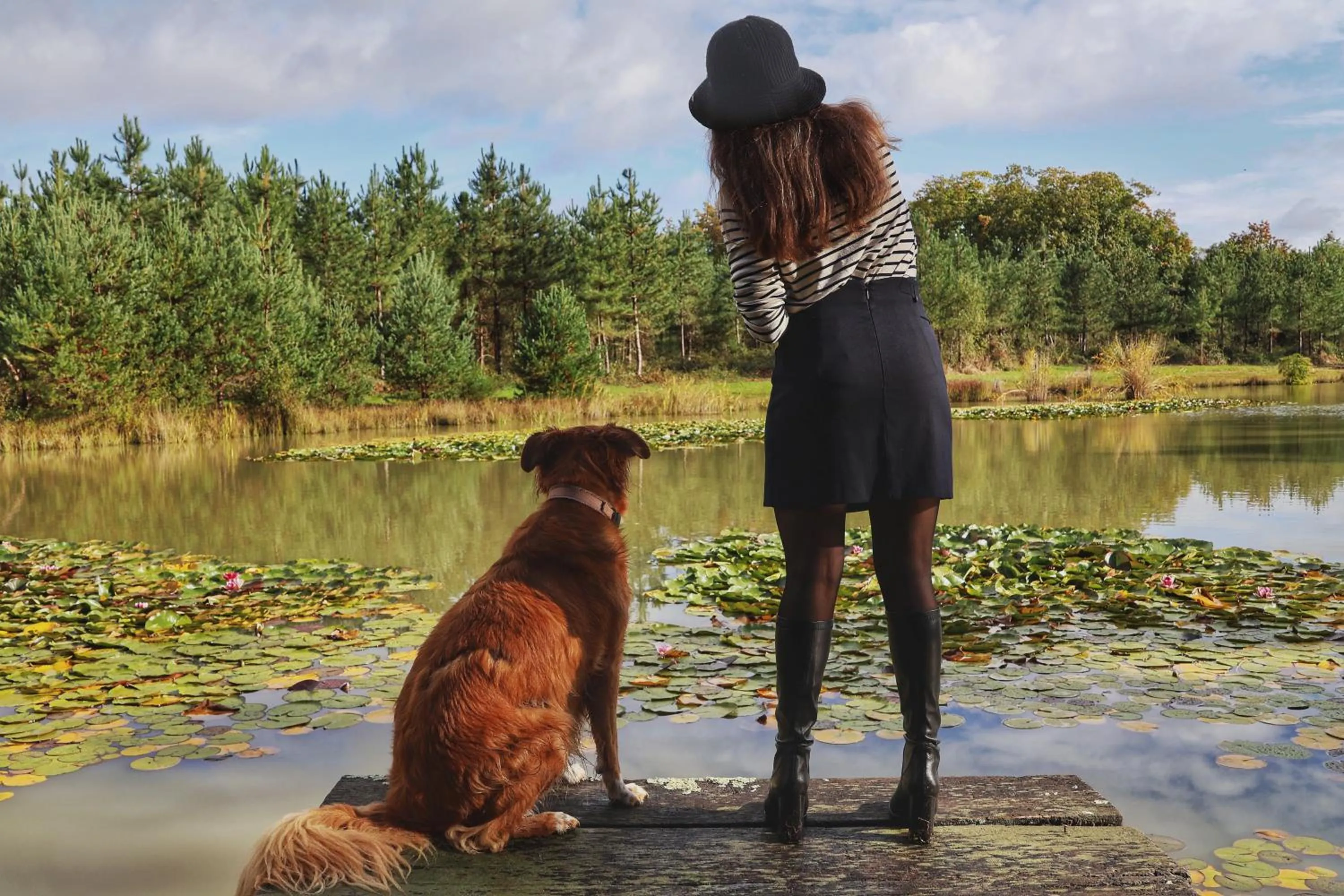 Garden in Chateau De Rochecotte