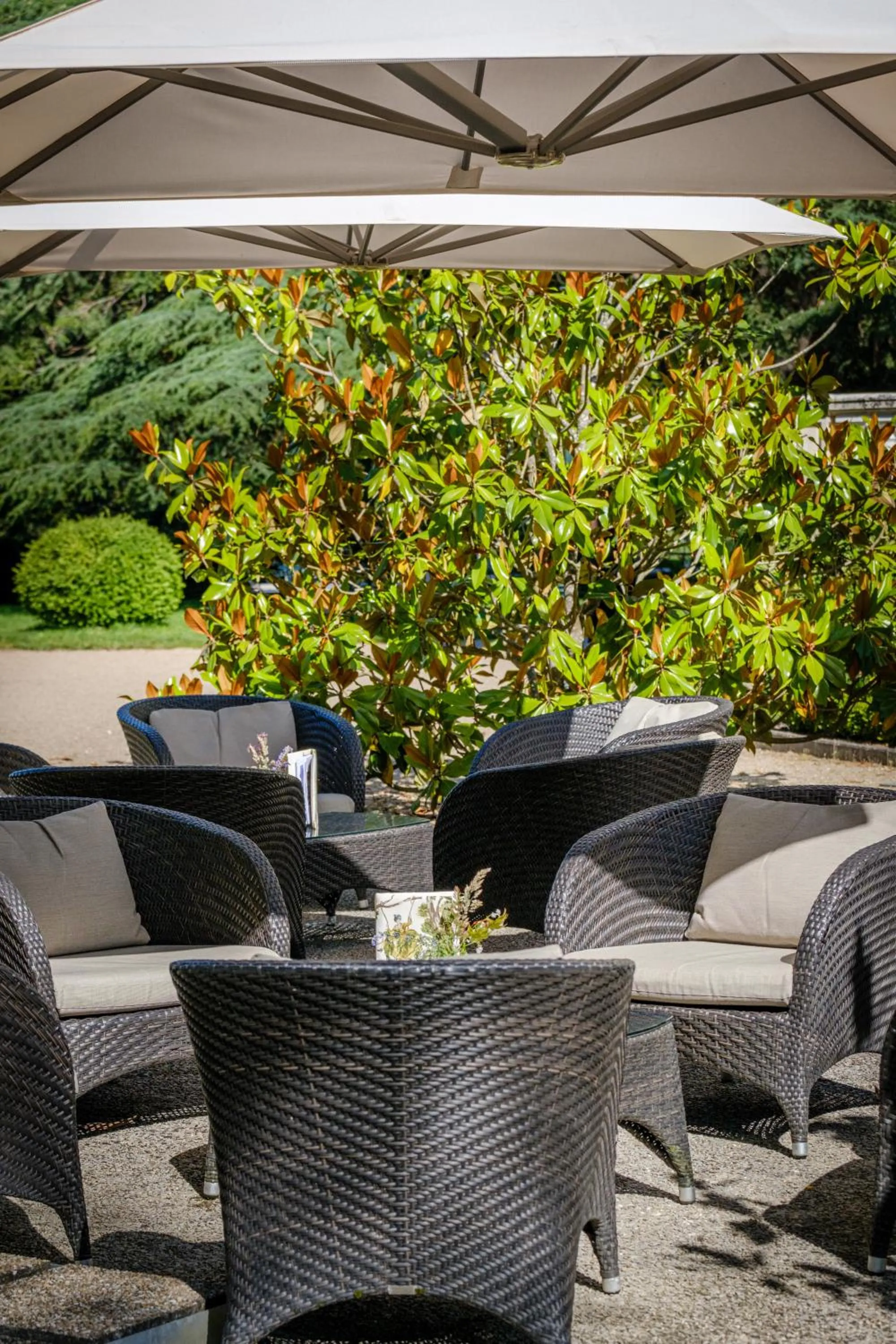 Lounge or bar in Chateau De Rochecotte